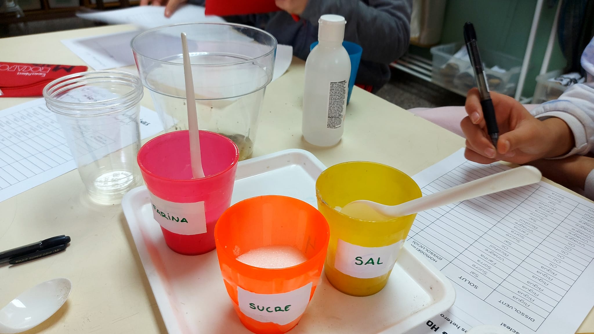 WhatsApp Image 2024-12-05 at 16.06.34