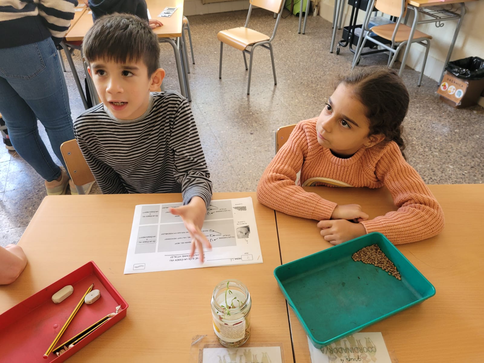 WhatsApp Image 2024-12-05 at 20.41.15 (1)