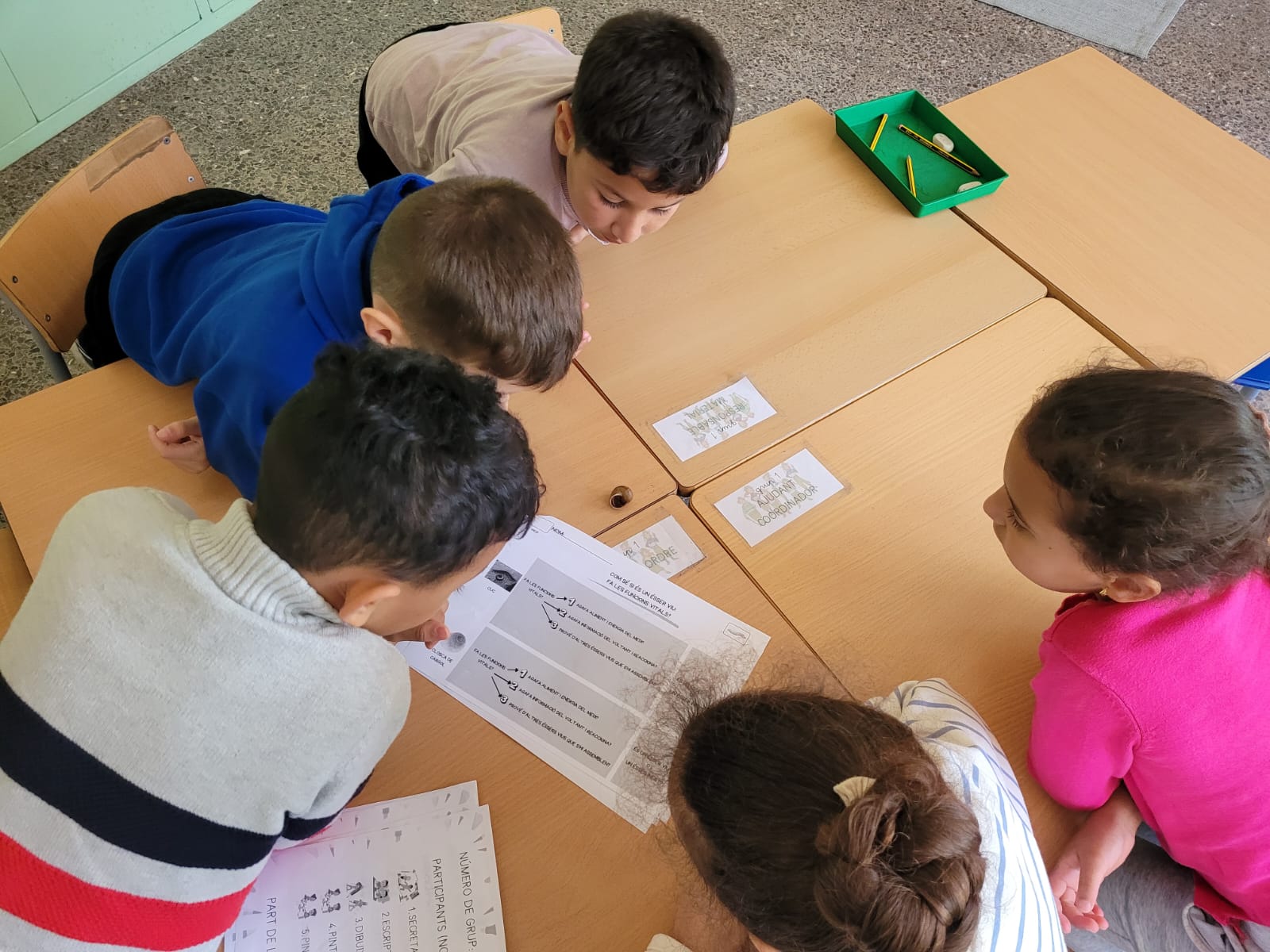 WhatsApp Image 2024-12-05 at 20.41.15