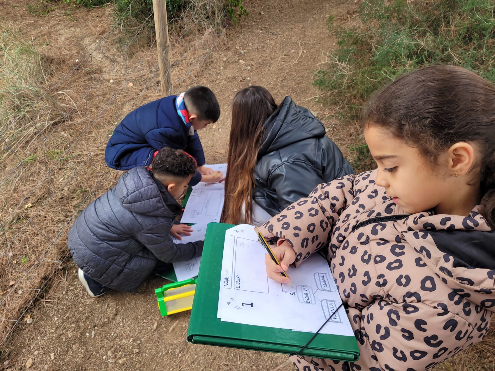 WhatsApp Image 2024-12-14 at 09.26.10 (2)