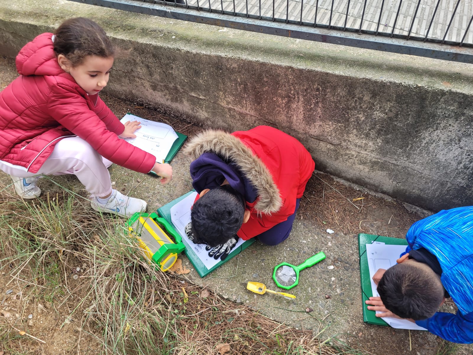 WhatsApp Image 2024-12-14 at 09.26.11