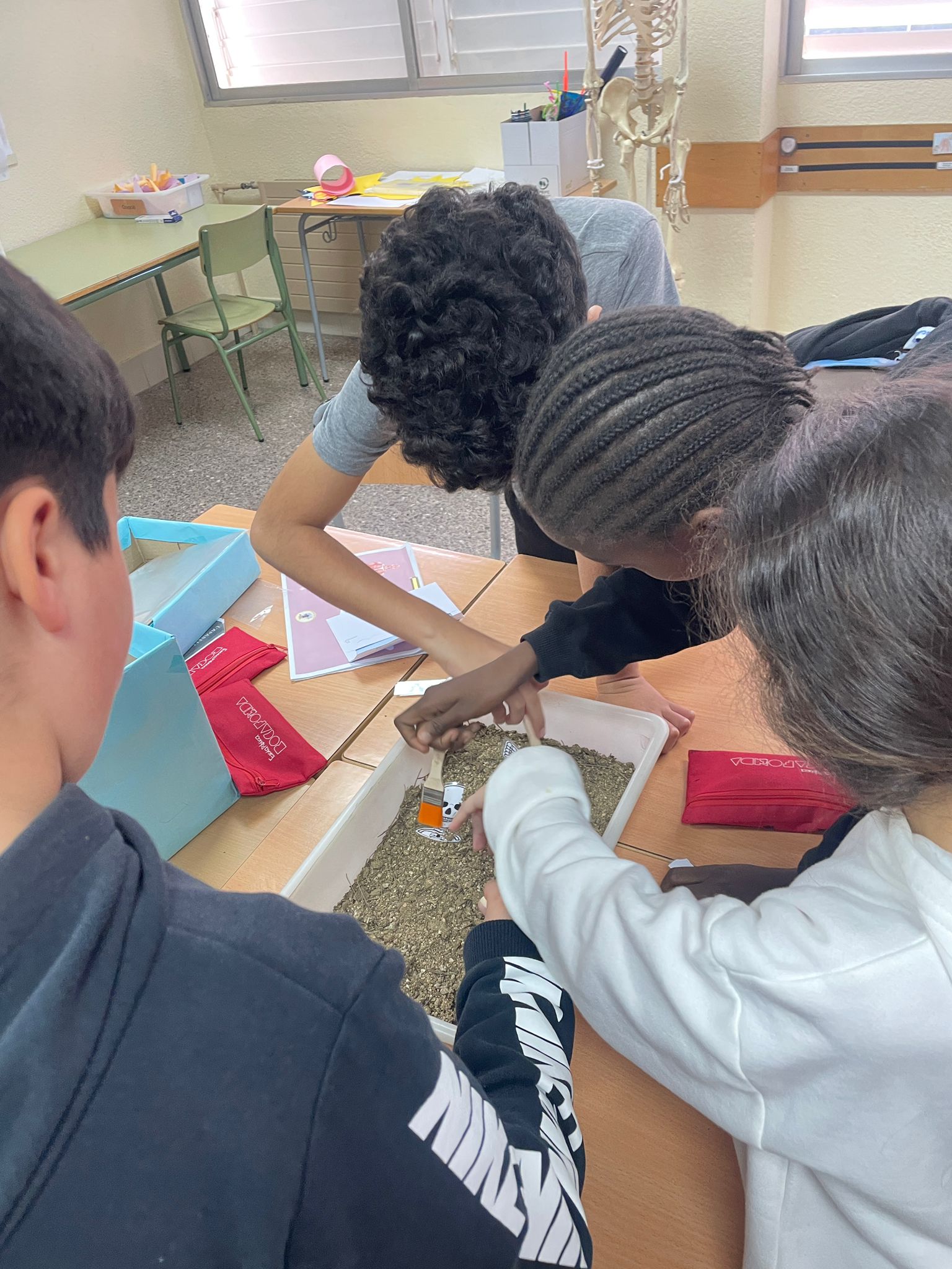 WhatsApp Image 2024-12-14 at 10.55.16 (3)