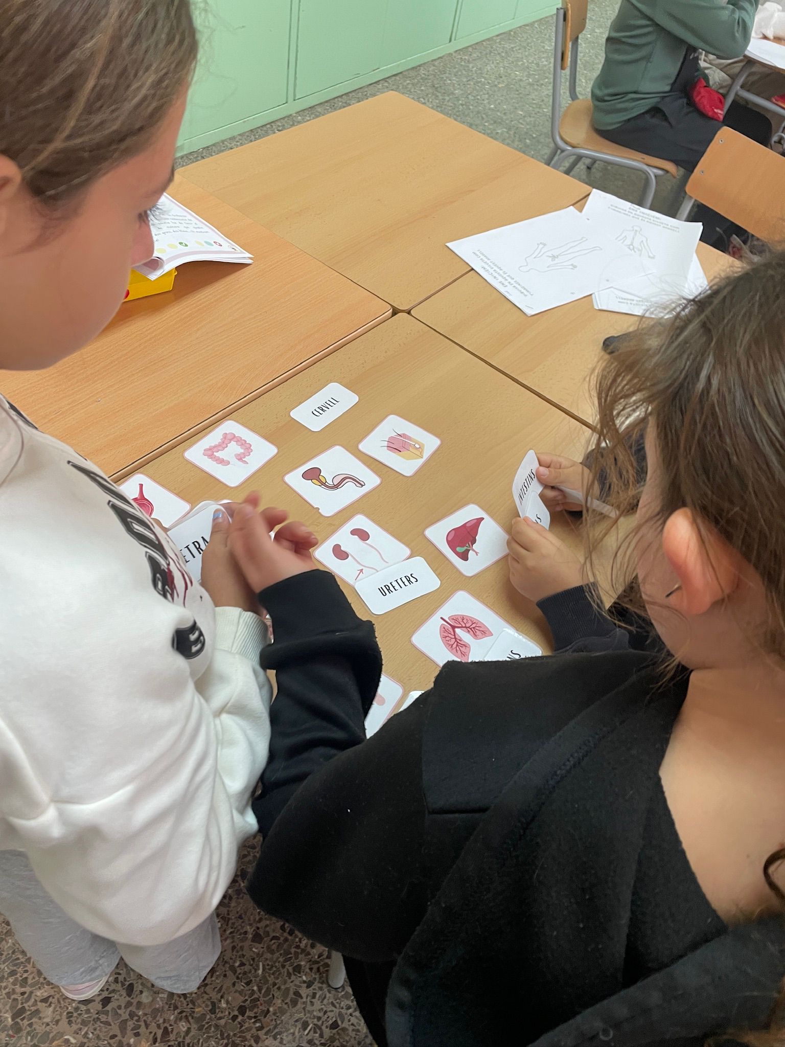 WhatsApp Image 2024-12-14 at 10.55.17 (2)