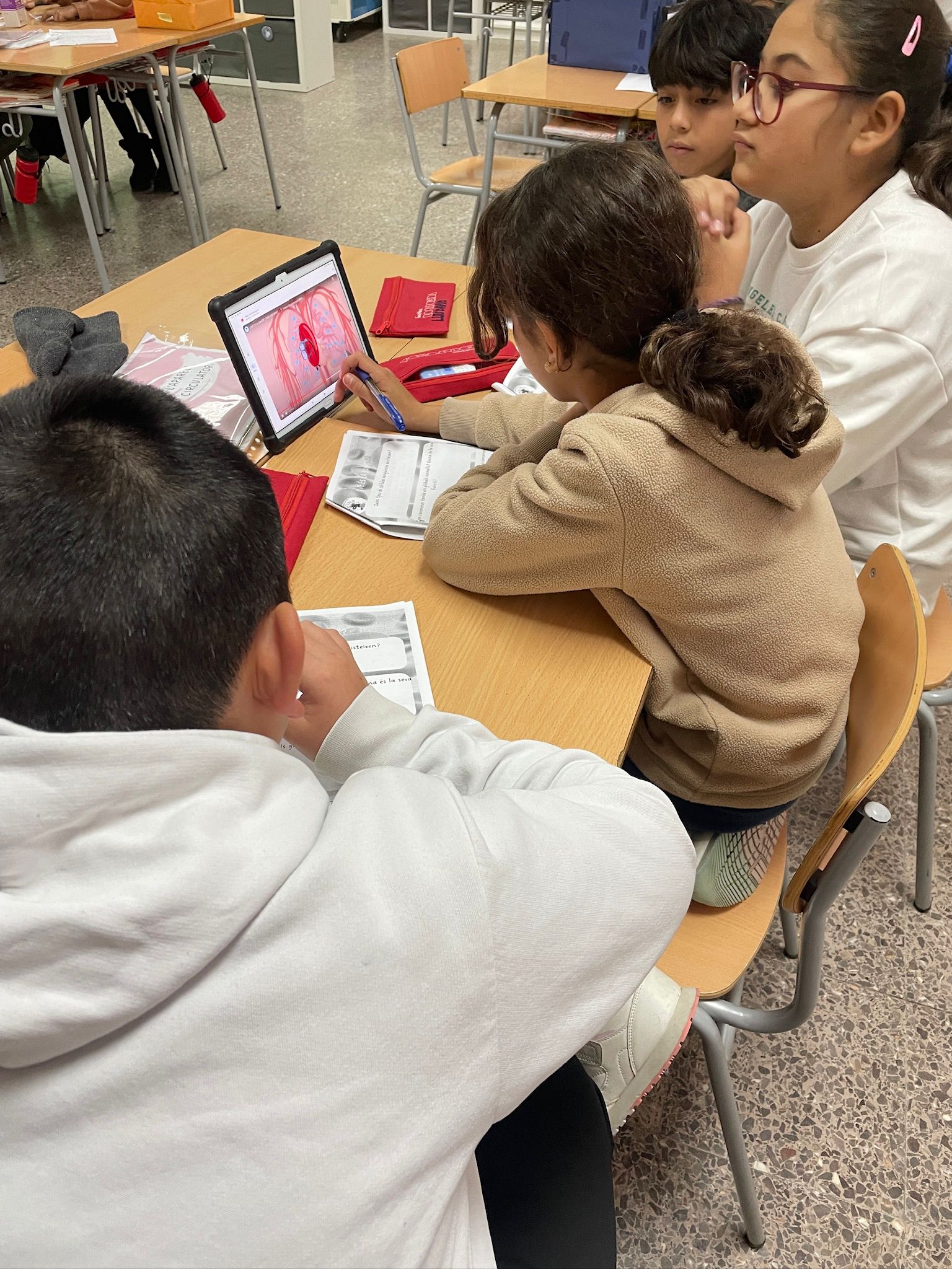 WhatsApp Image 2024-12-14 at 10.55.17