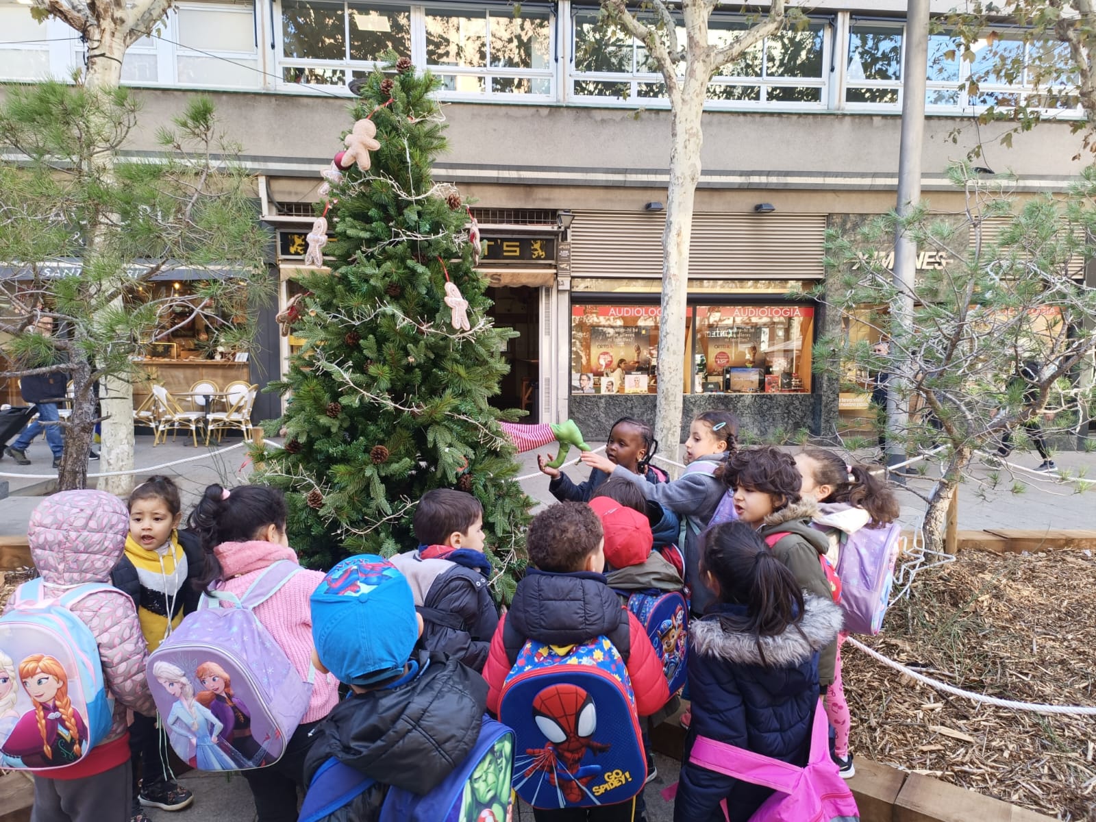 WhatsApp Image 2024-12-17 at 12.08.35 (1)