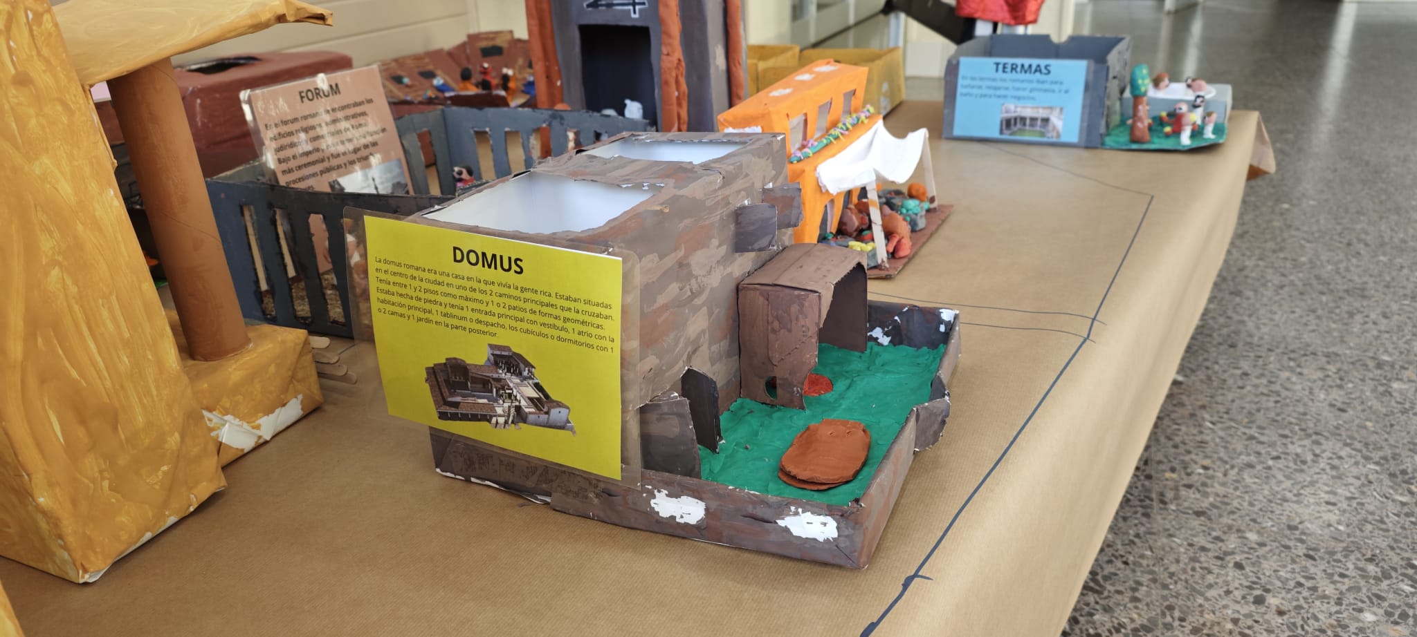 WhatsApp Image 2024-12-19 at 08.06.05