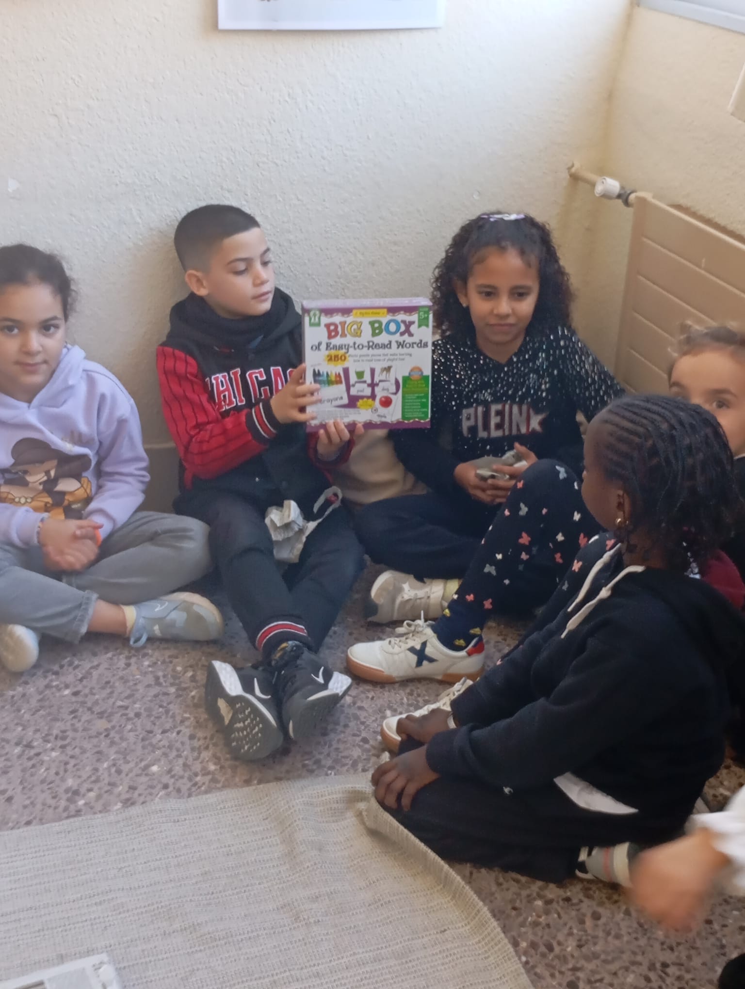 WhatsApp Image 2024-12-20 at 14.00.09