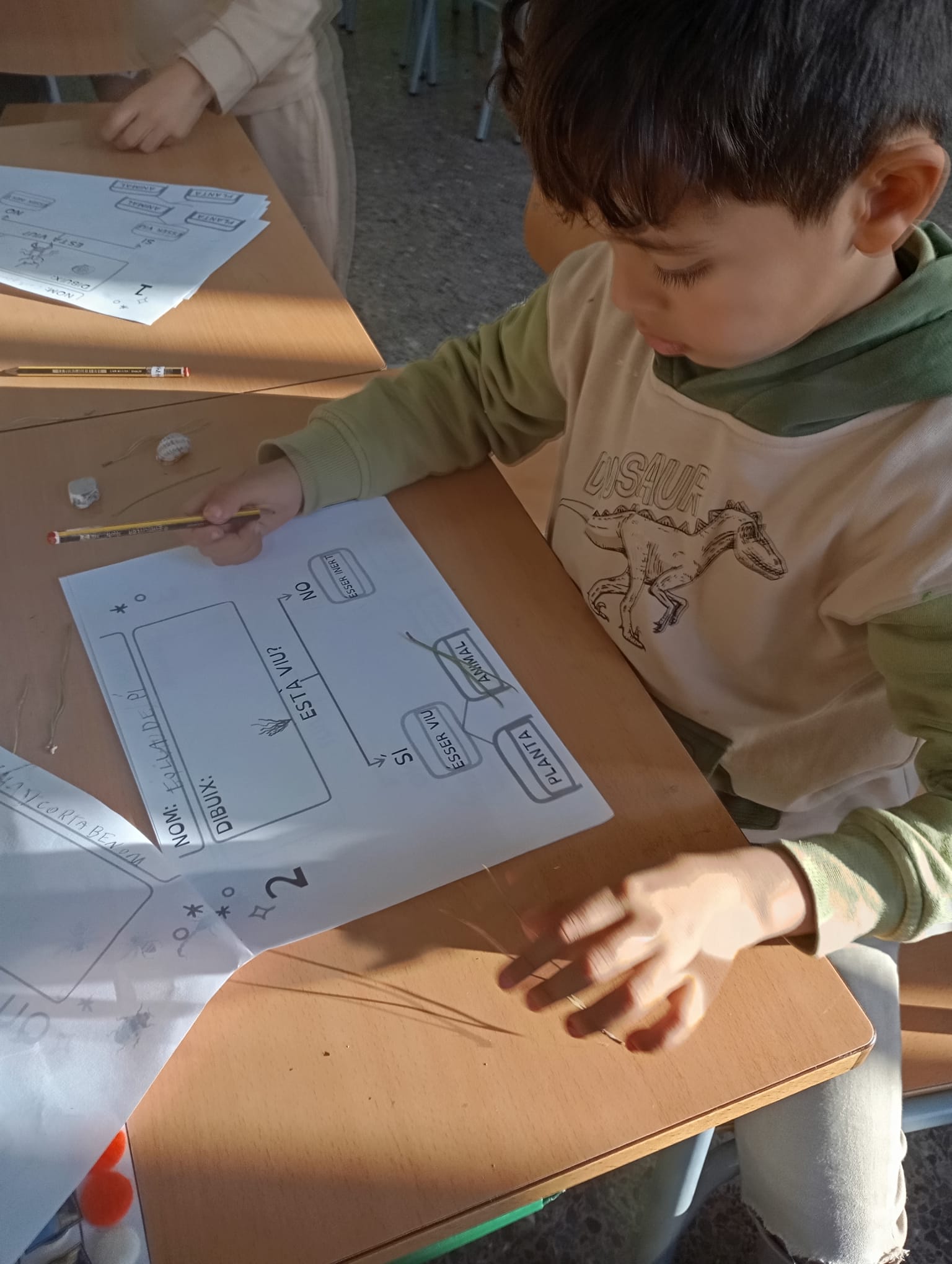 WhatsApp Image 2024-12-20 at 14.00.10 (2)