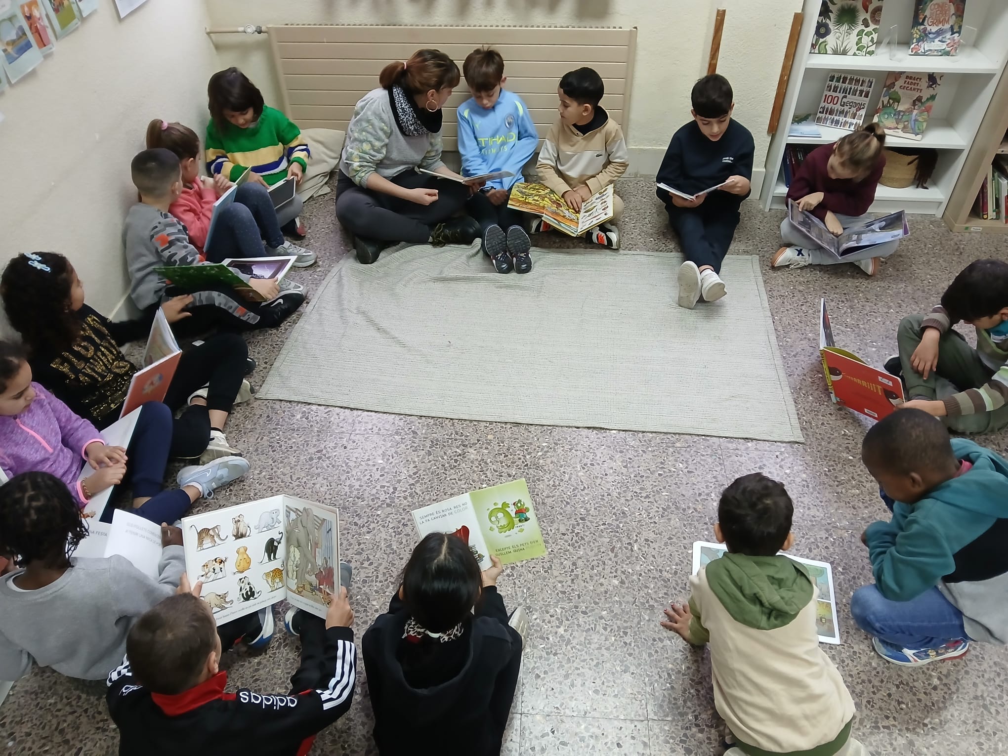 WhatsApp Image 2024-12-20 at 14.00.10