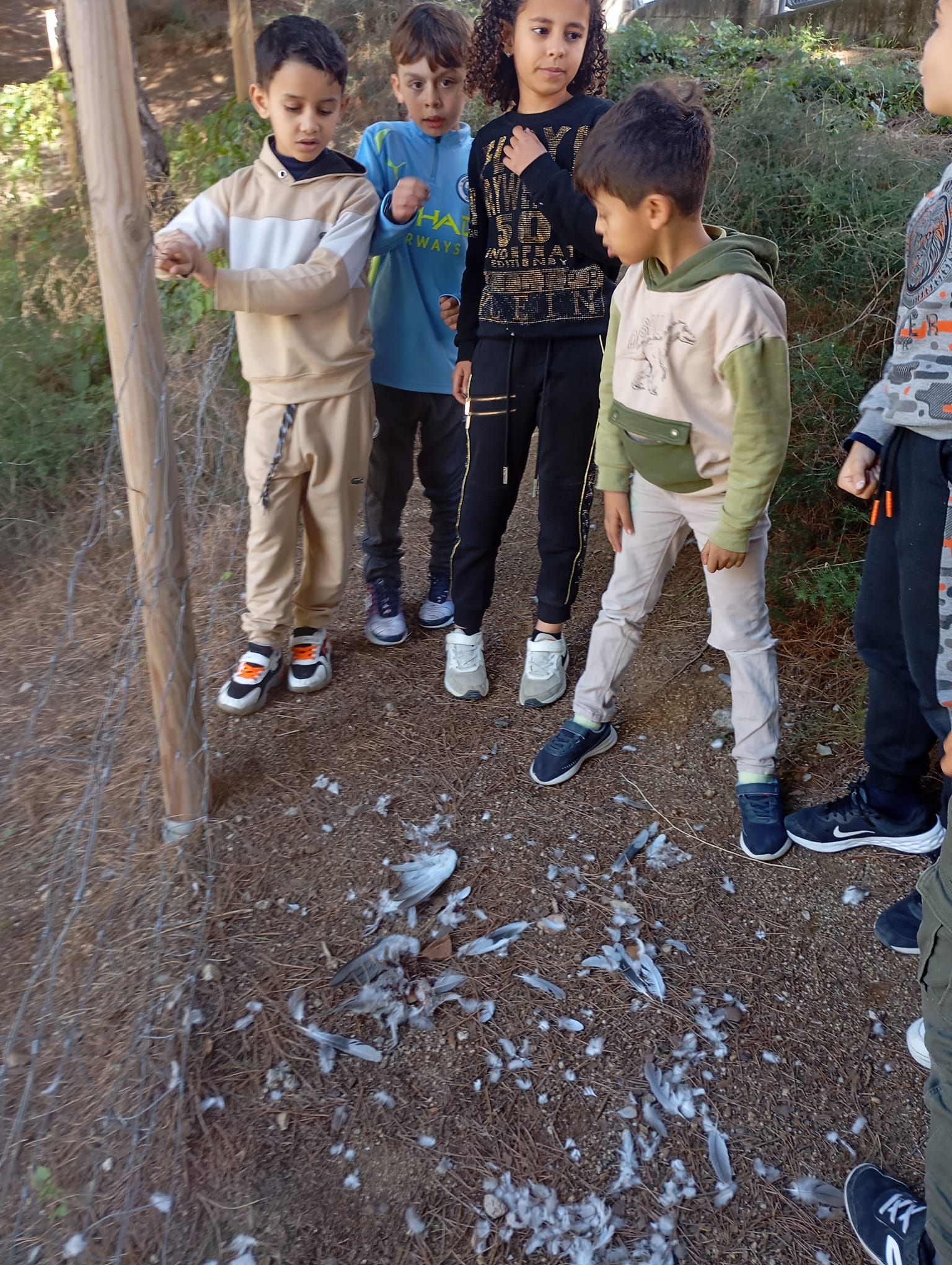 WhatsApp Image 2024-12-20 at 14.00.11 (2)