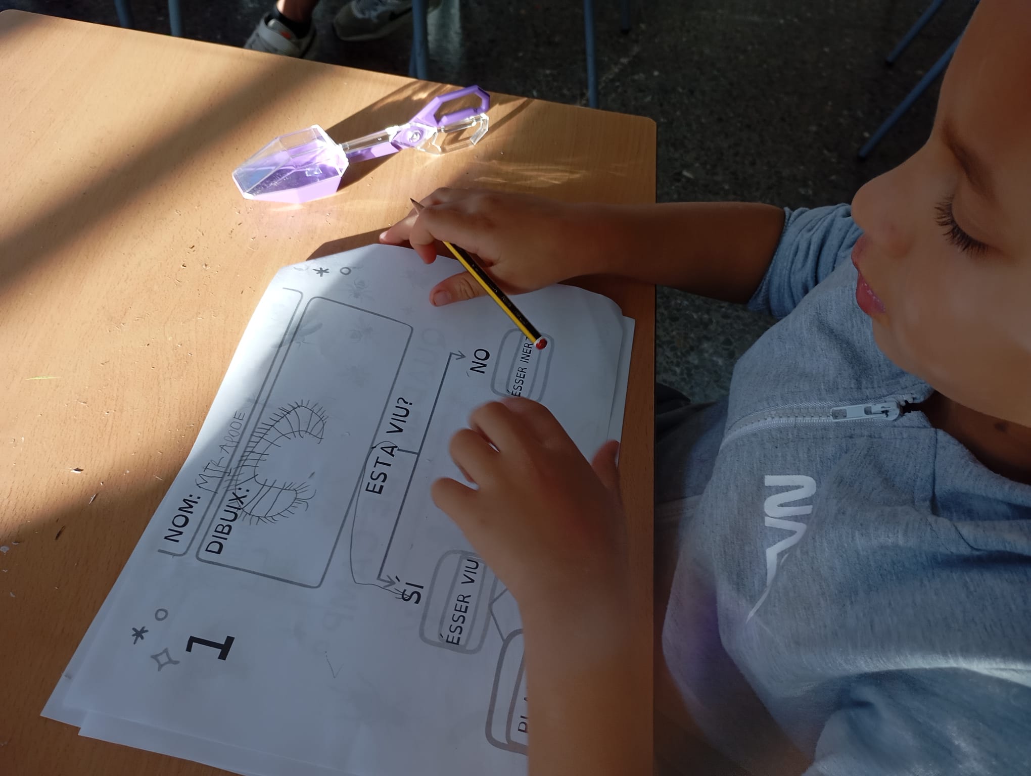 WhatsApp Image 2024-12-20 at 14.00.11