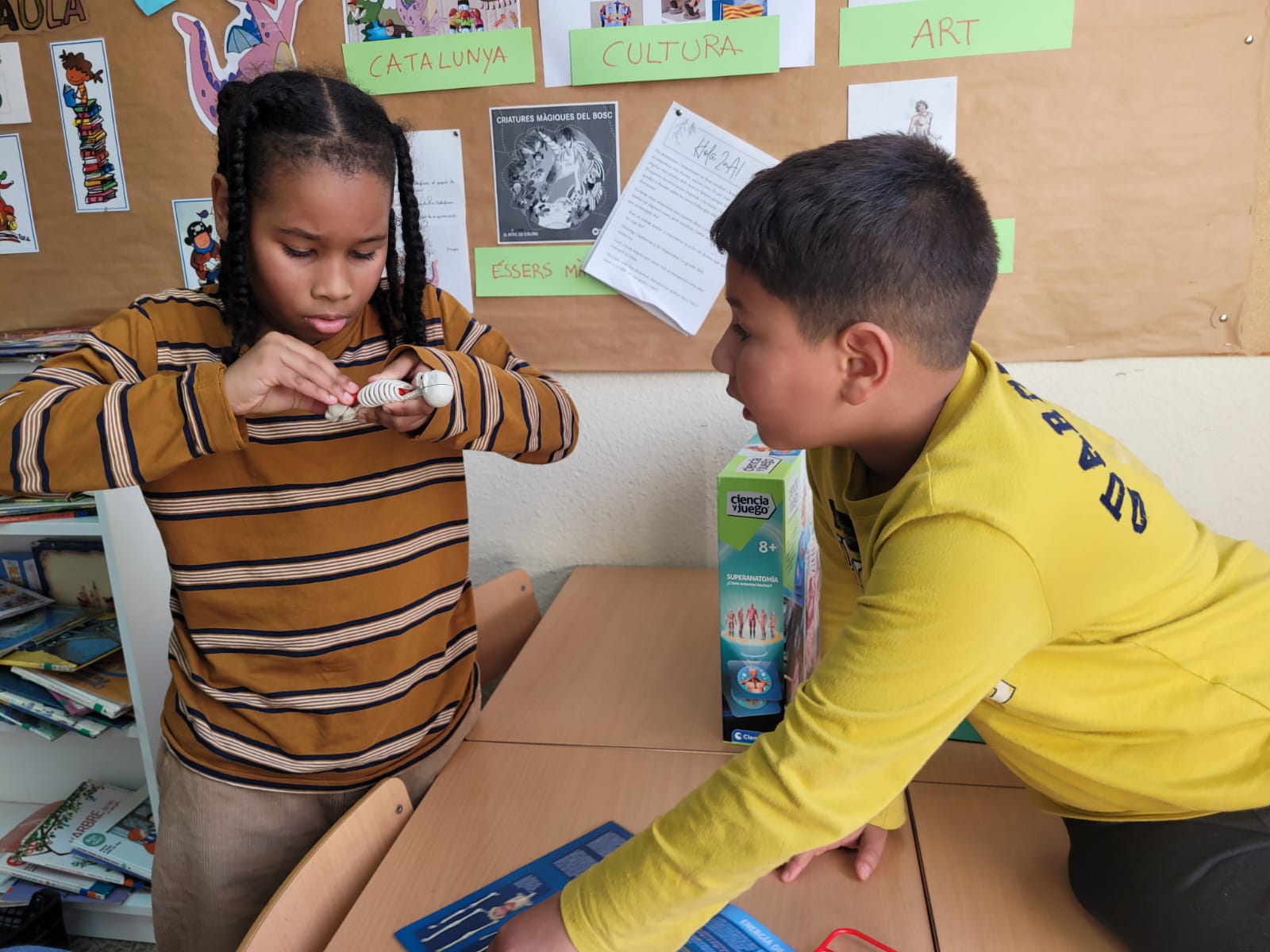 WhatsApp Image 2025-01-10 at 18.25.22