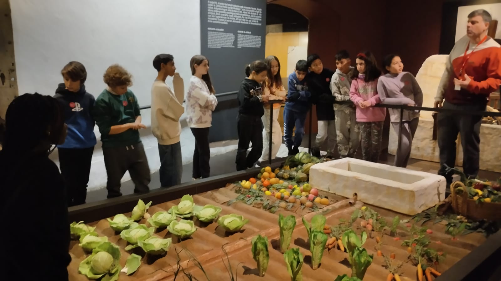 WhatsApp Image 2025-01-14 at 16.06.04 (1)