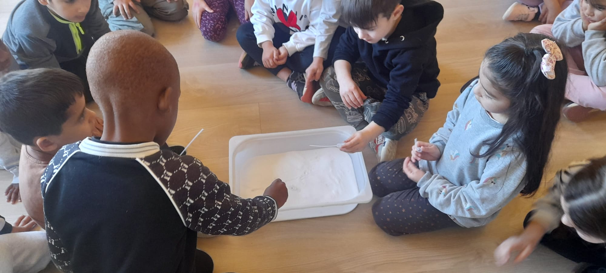 WhatsApp Image 2025-01-15 at 20.31.23