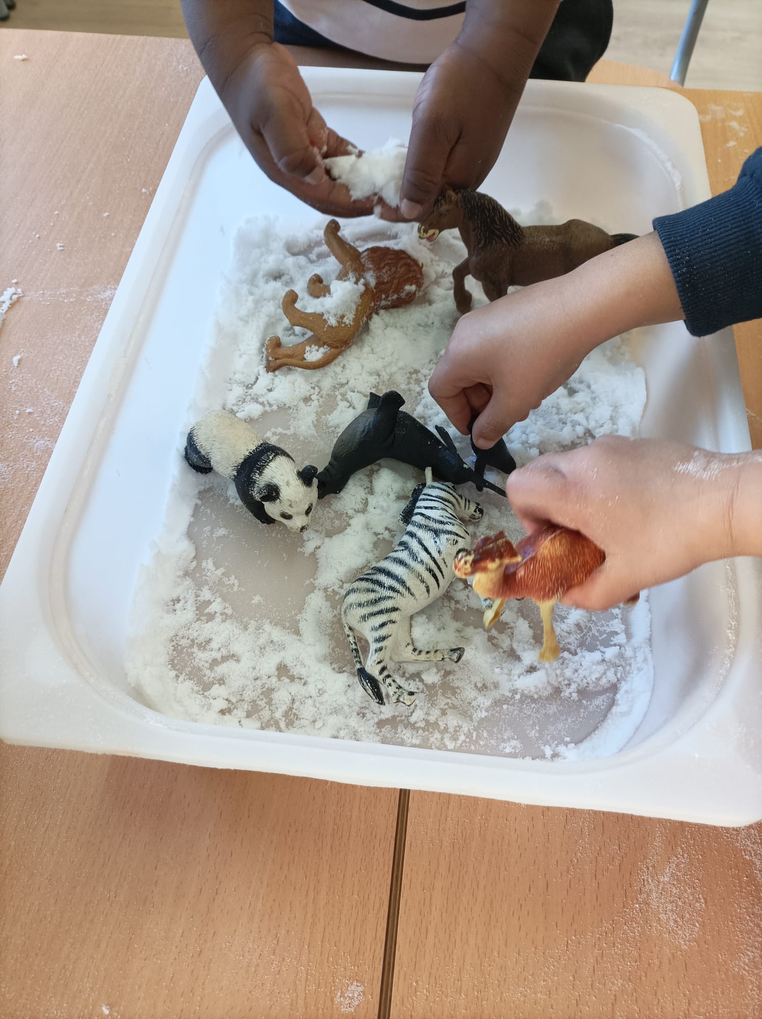 WhatsApp Image 2025-01-15 at 20.31.25 (1)