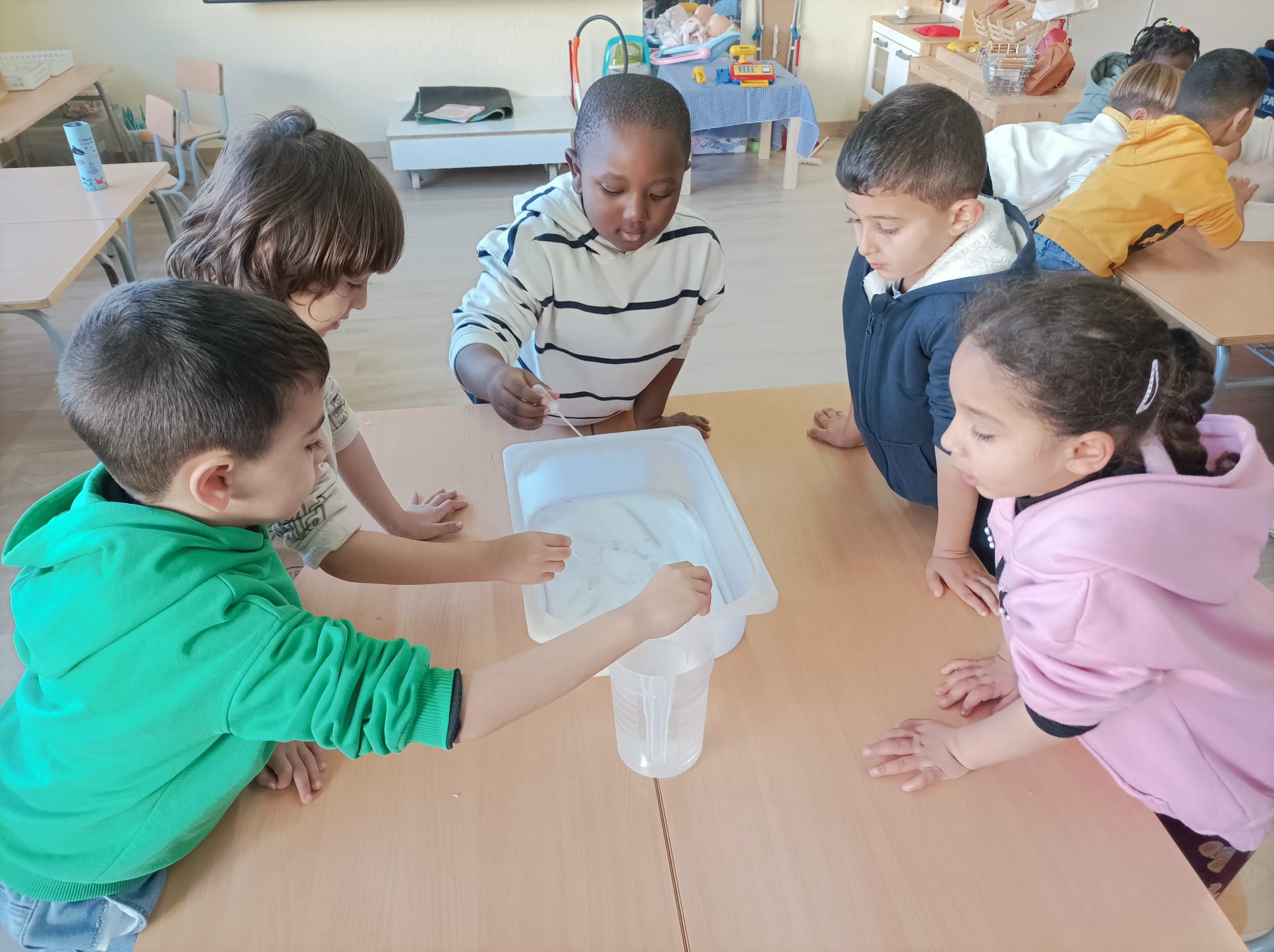 WhatsApp Image 2025-01-15 at 20.31.26