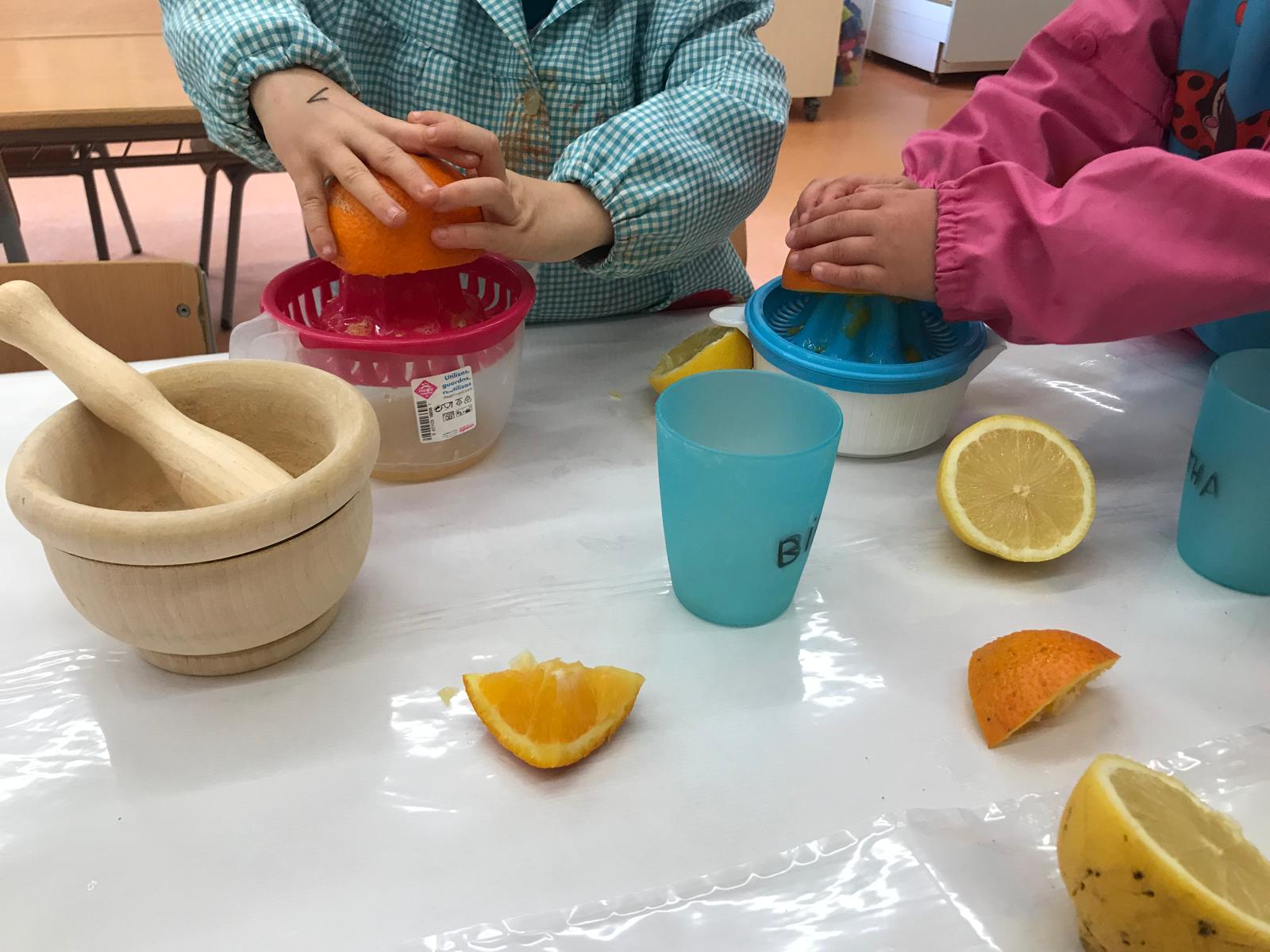 WhatsApp Image 2025-01-17 at 13.10.41 (1)