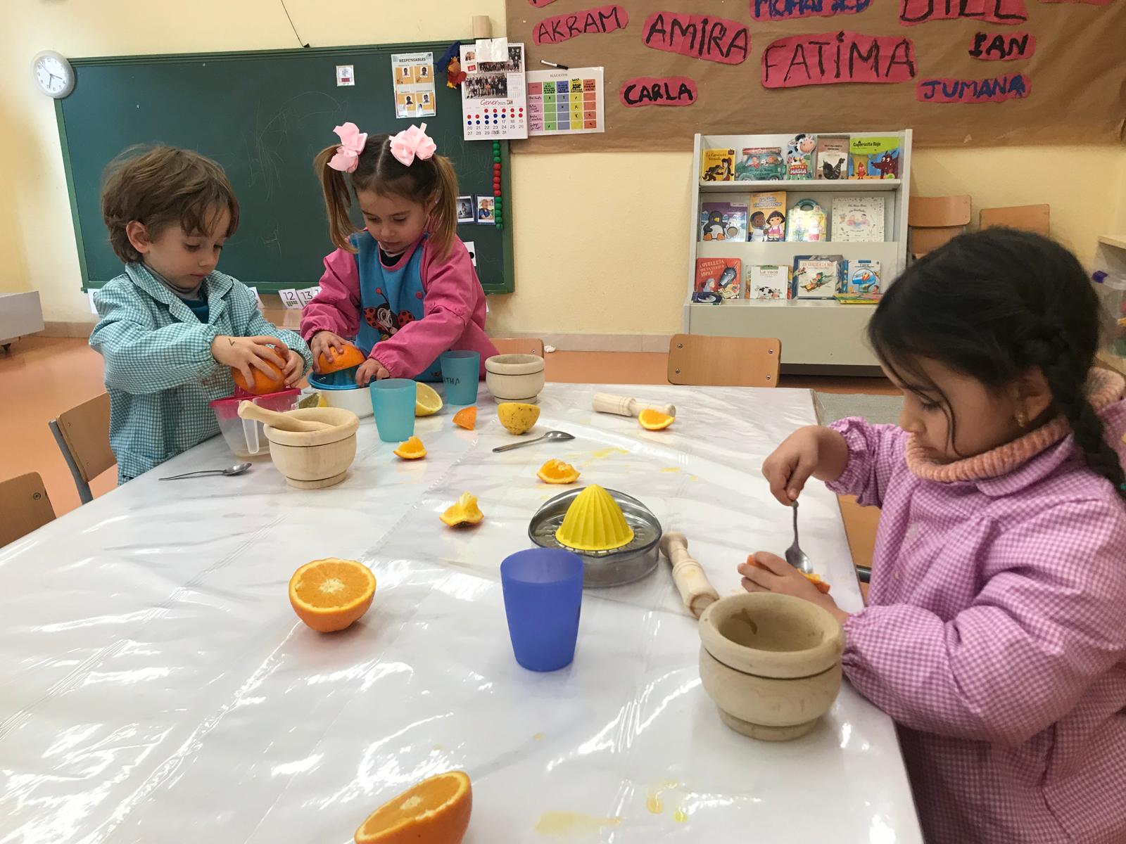 WhatsApp Image 2025-01-17 at 13.10.41