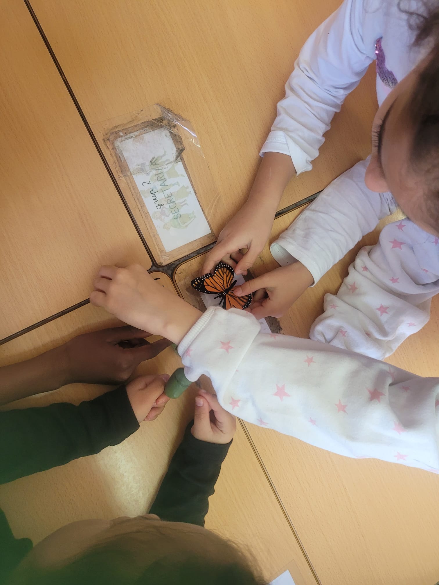 WhatsApp Image 2025-01-19 at 14.11.36