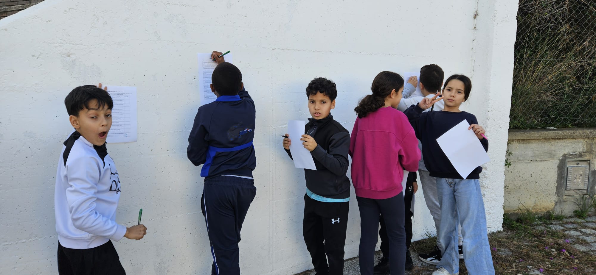 WhatsApp Image 2025-01-19 at 14.29.46 (1)