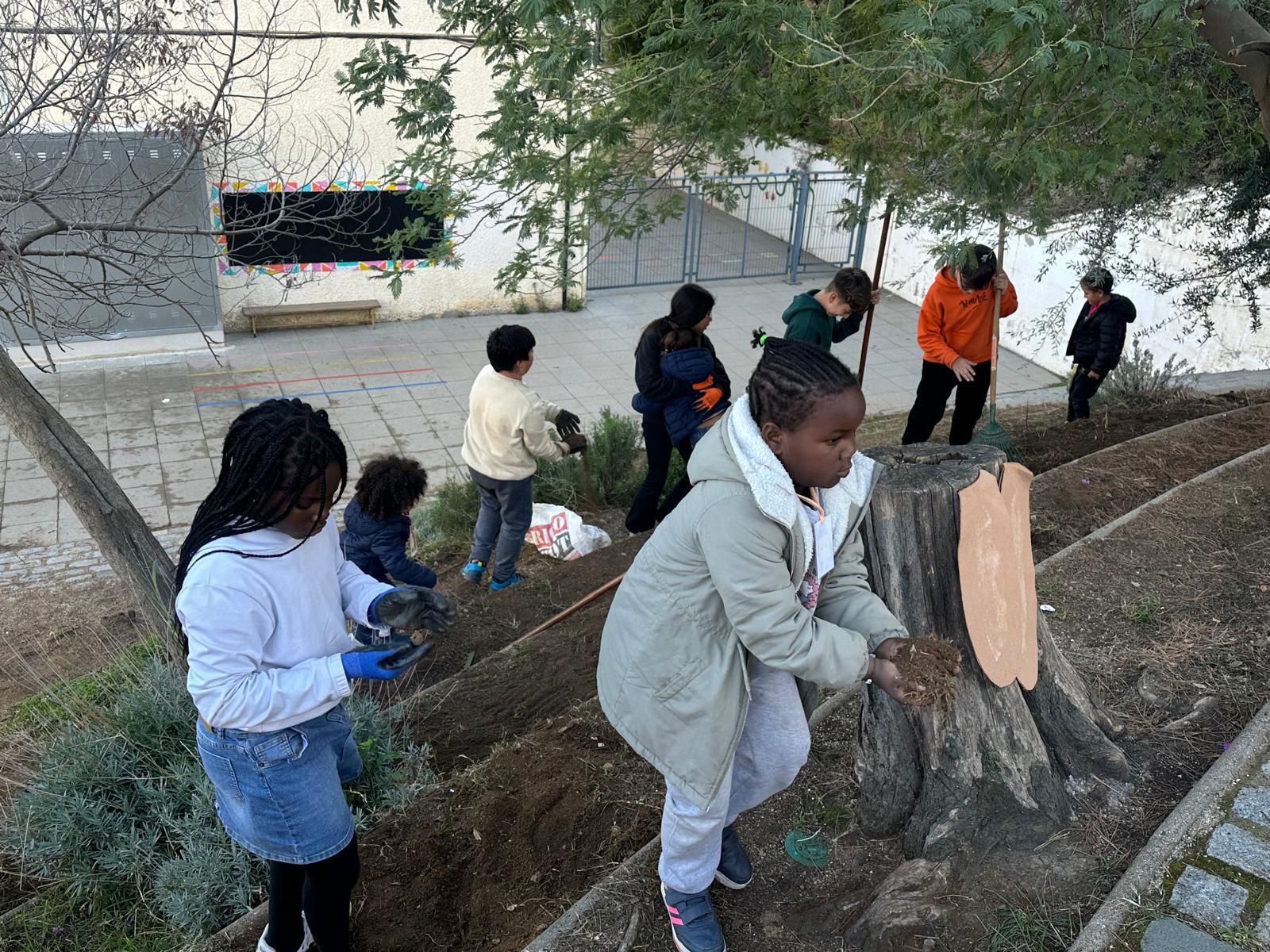 WhatsApp Image 2025-01-23 at 14.56.07 (2)