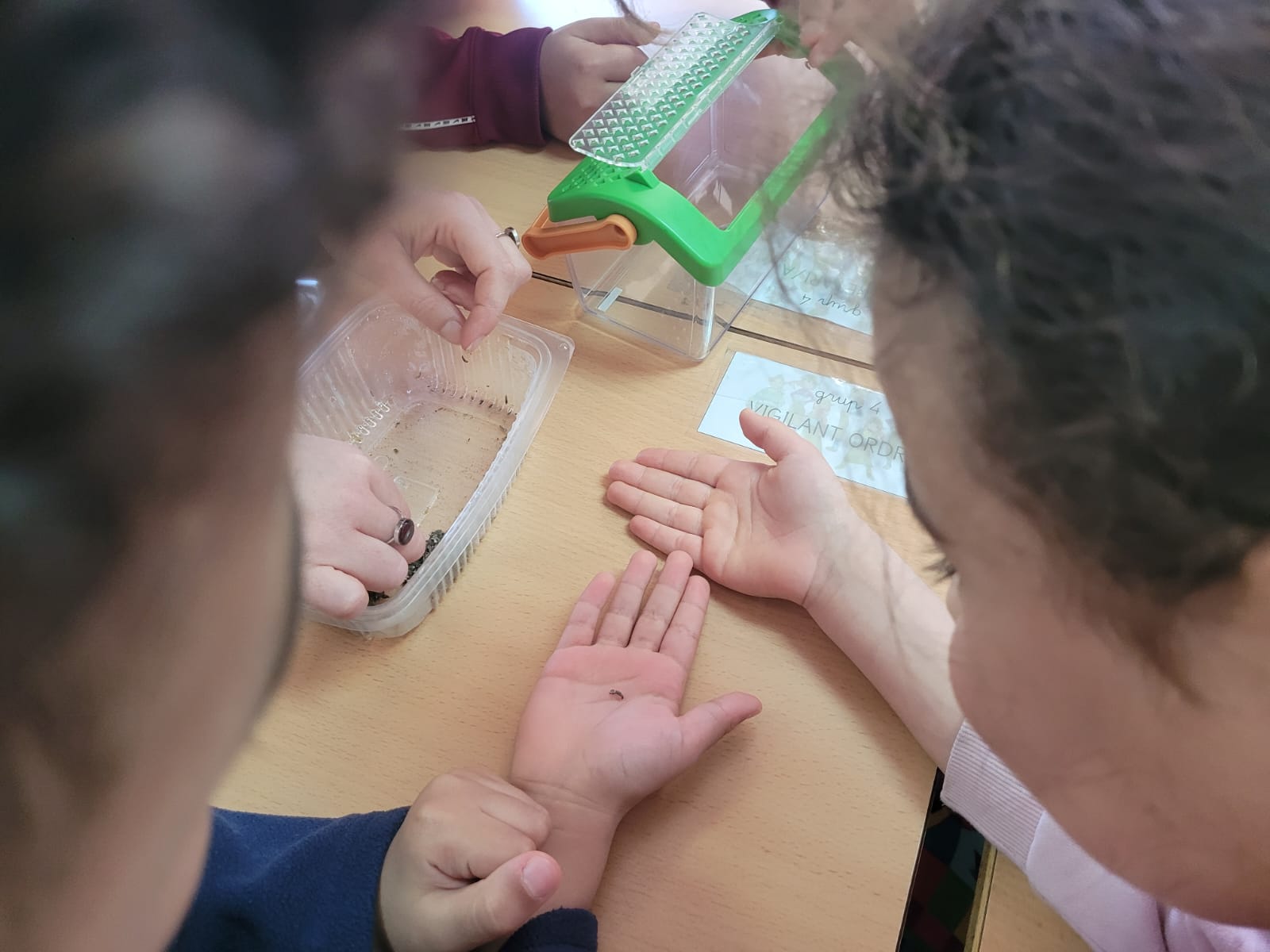 WhatsApp Image 2025-01-24 at 16.01.20 (3)