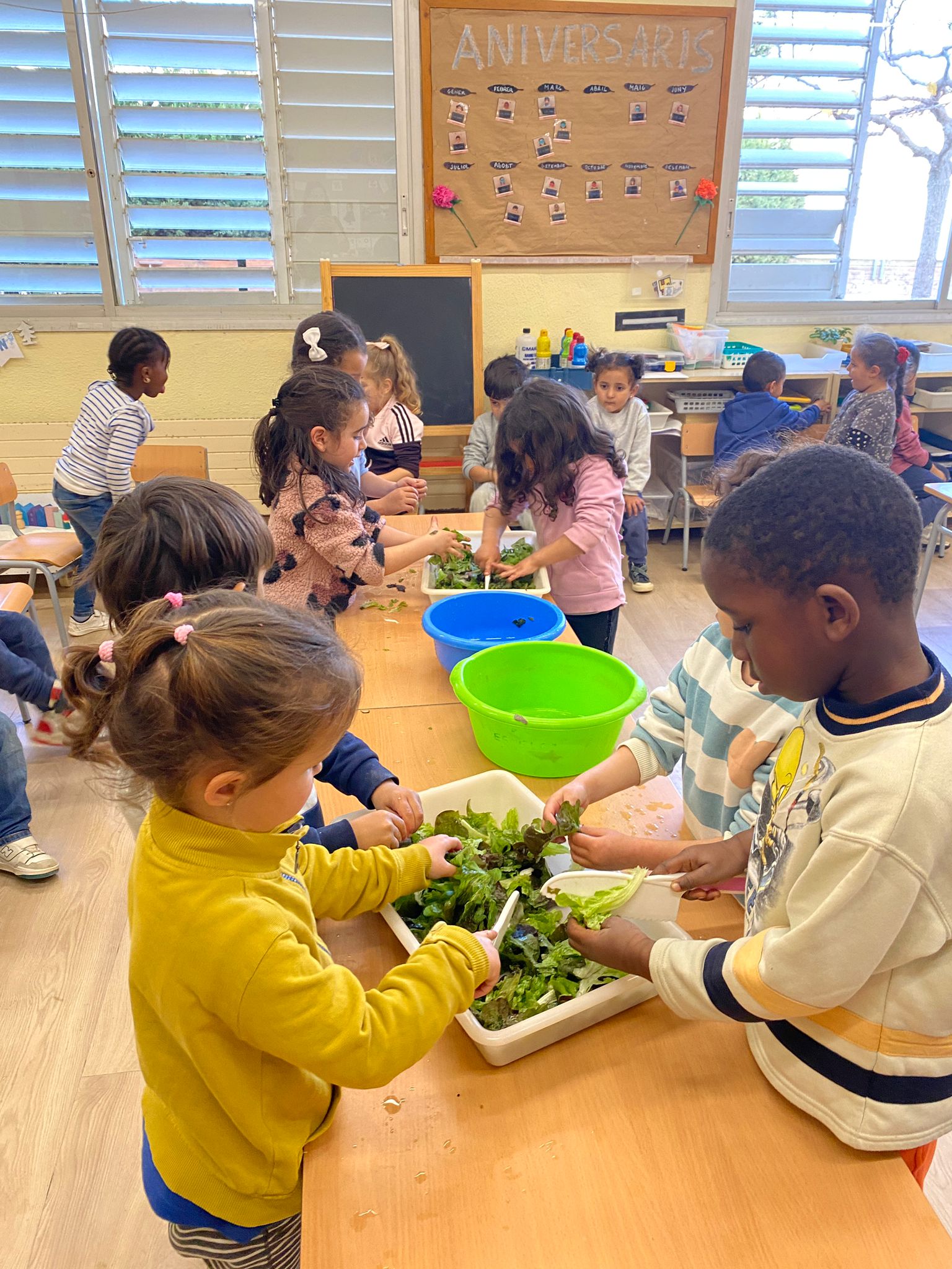 WhatsApp Image 2025-01-26 at 21.02.22 (1)