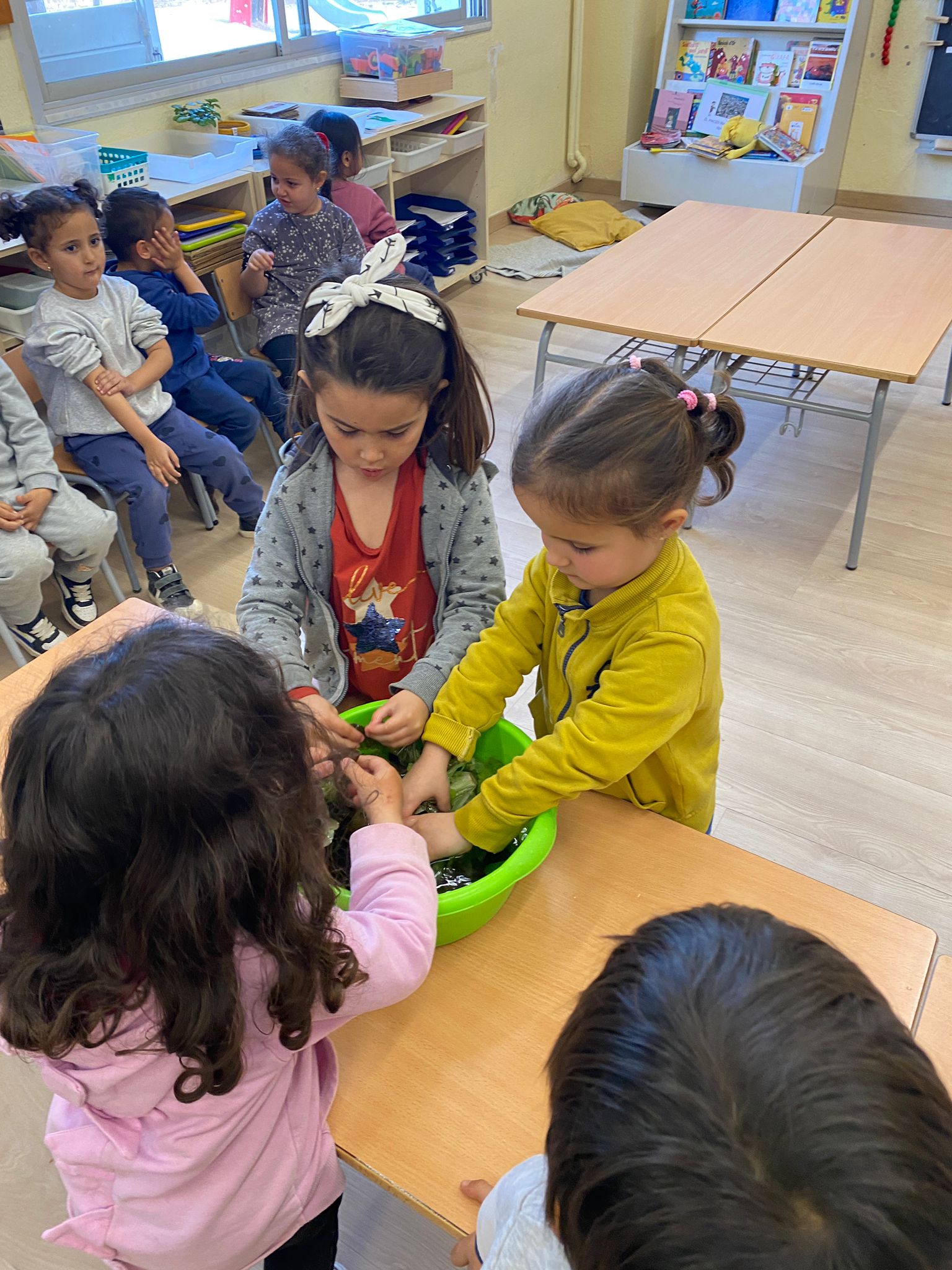 WhatsApp Image 2025-01-26 at 21.02.22 (2)