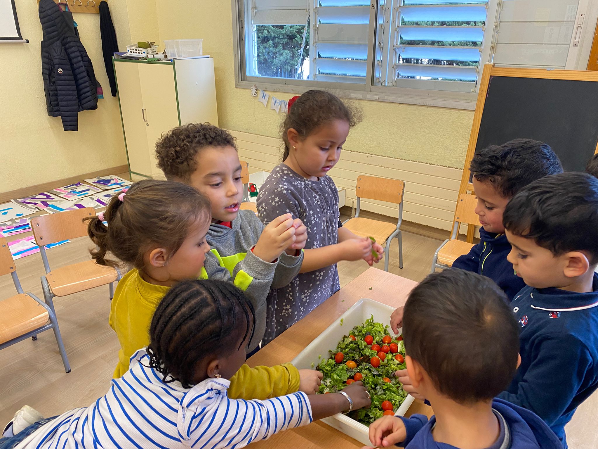 WhatsApp Image 2025-01-26 at 21.02.22