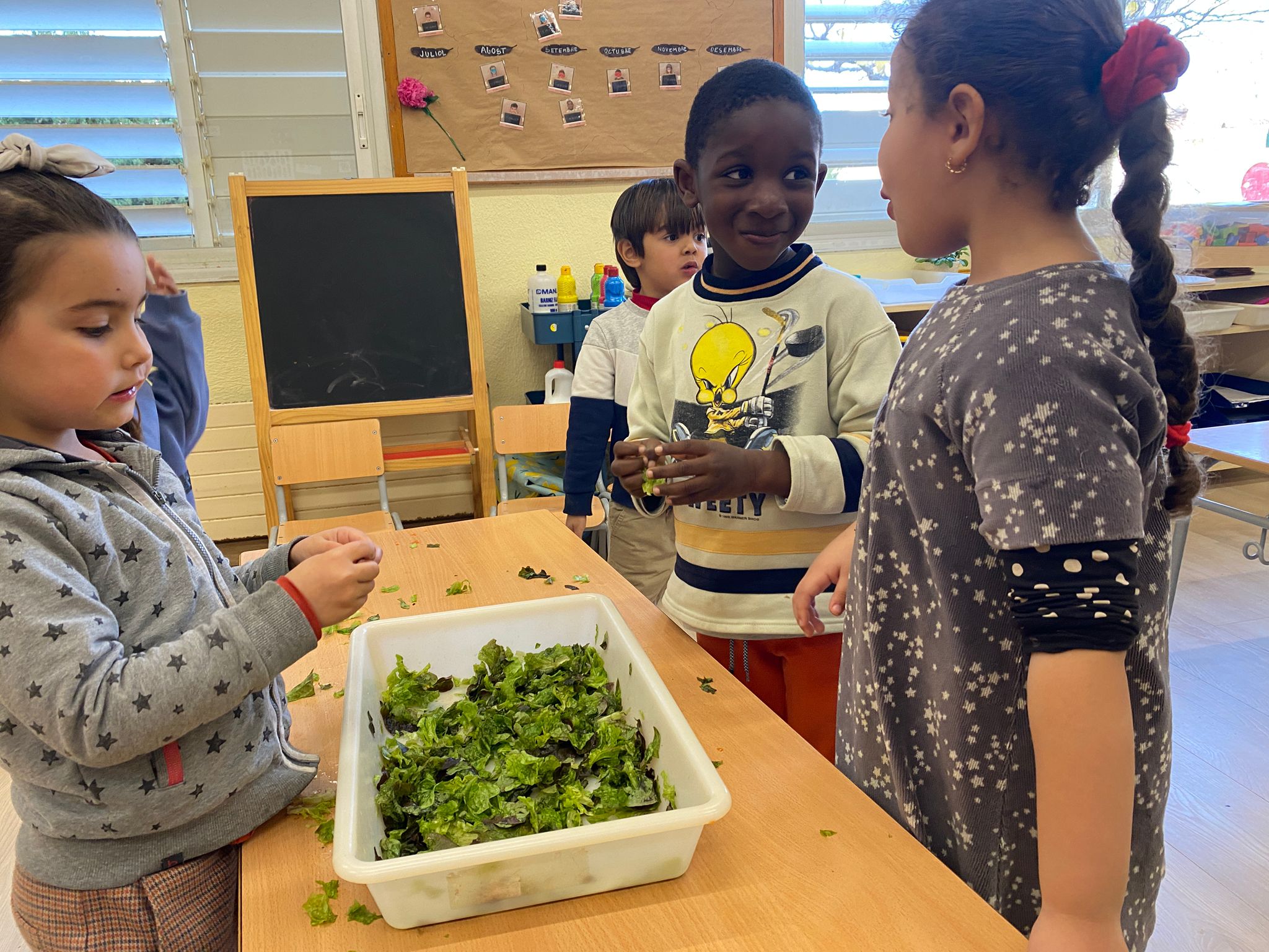 WhatsApp Image 2025-01-26 at 21.02.23