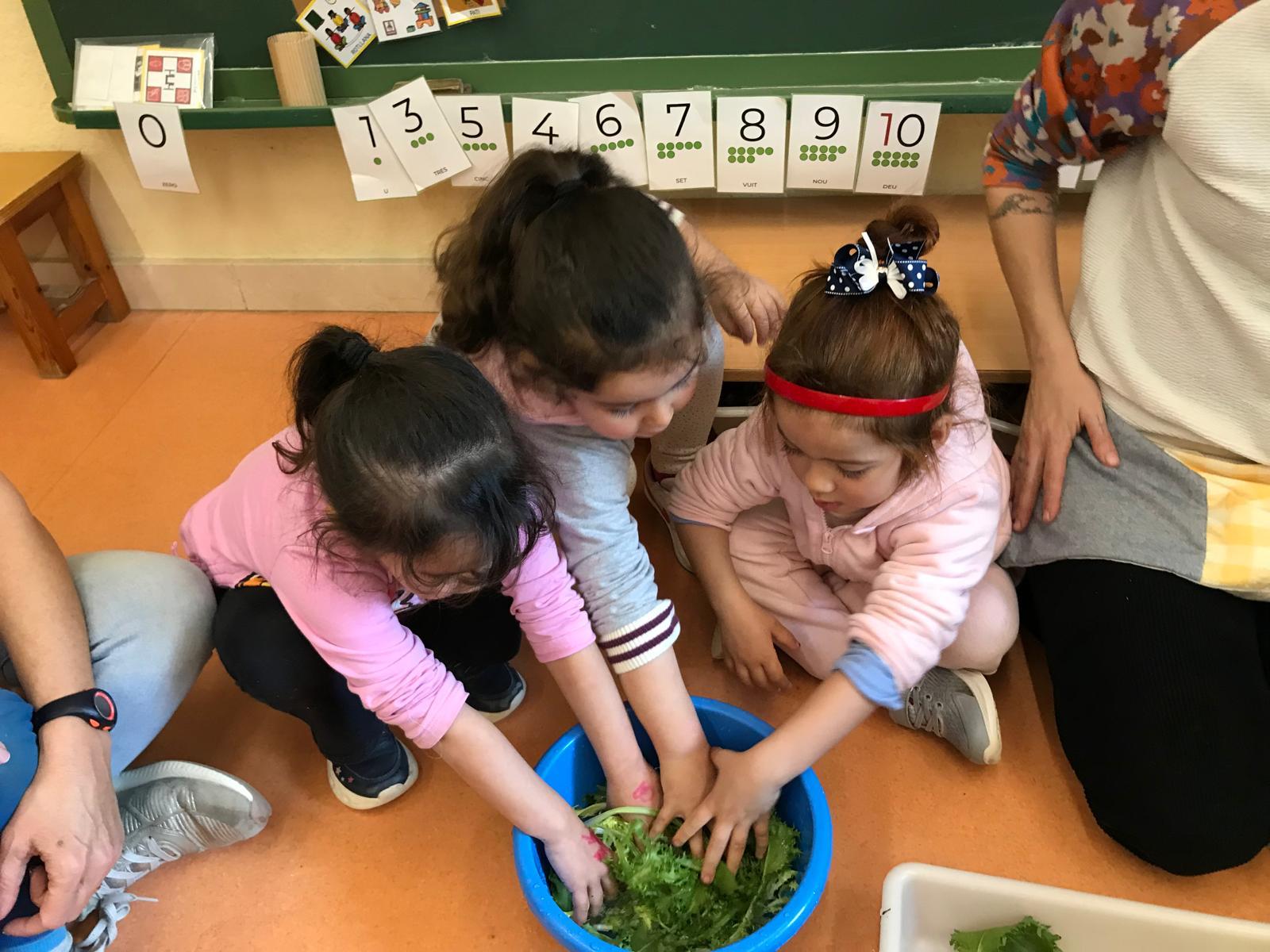 WhatsApp Image 2025-01-26 at 21.24.37 (2)