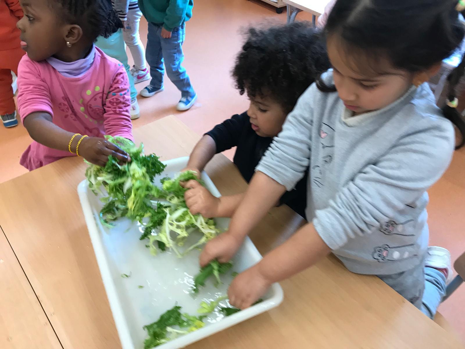 WhatsApp Image 2025-01-26 at 21.24.37 (3)