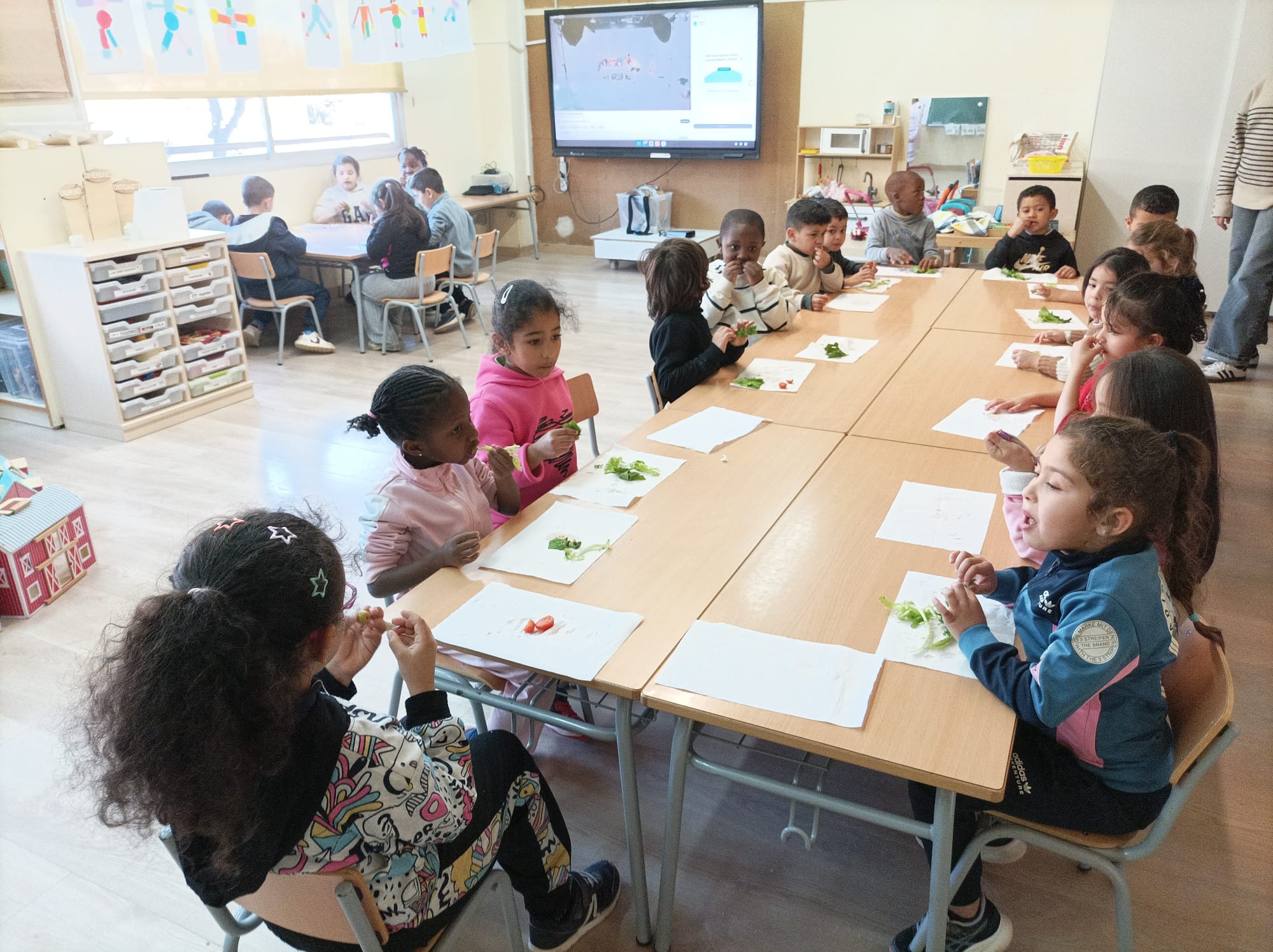 WhatsApp Image 2025-01-26 at 21.45.49 (1)