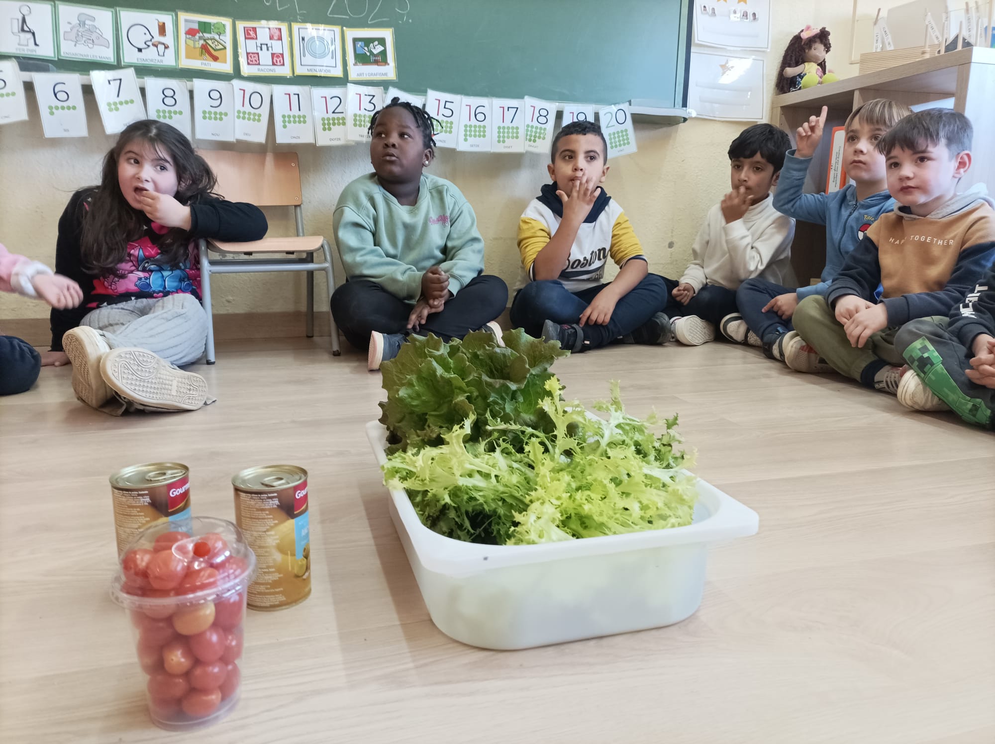 WhatsApp Image 2025-01-26 at 21.45.49