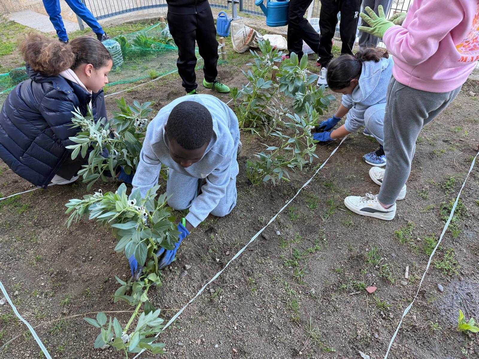 WhatsApp Image 2025-02-03 at 18.03.02