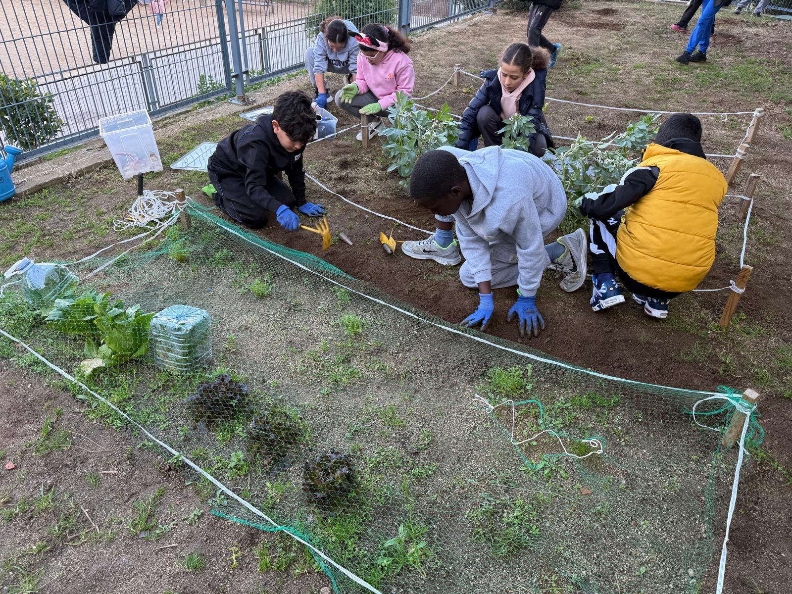 WhatsApp Image 2025-02-03 at 18.03.03 (2)