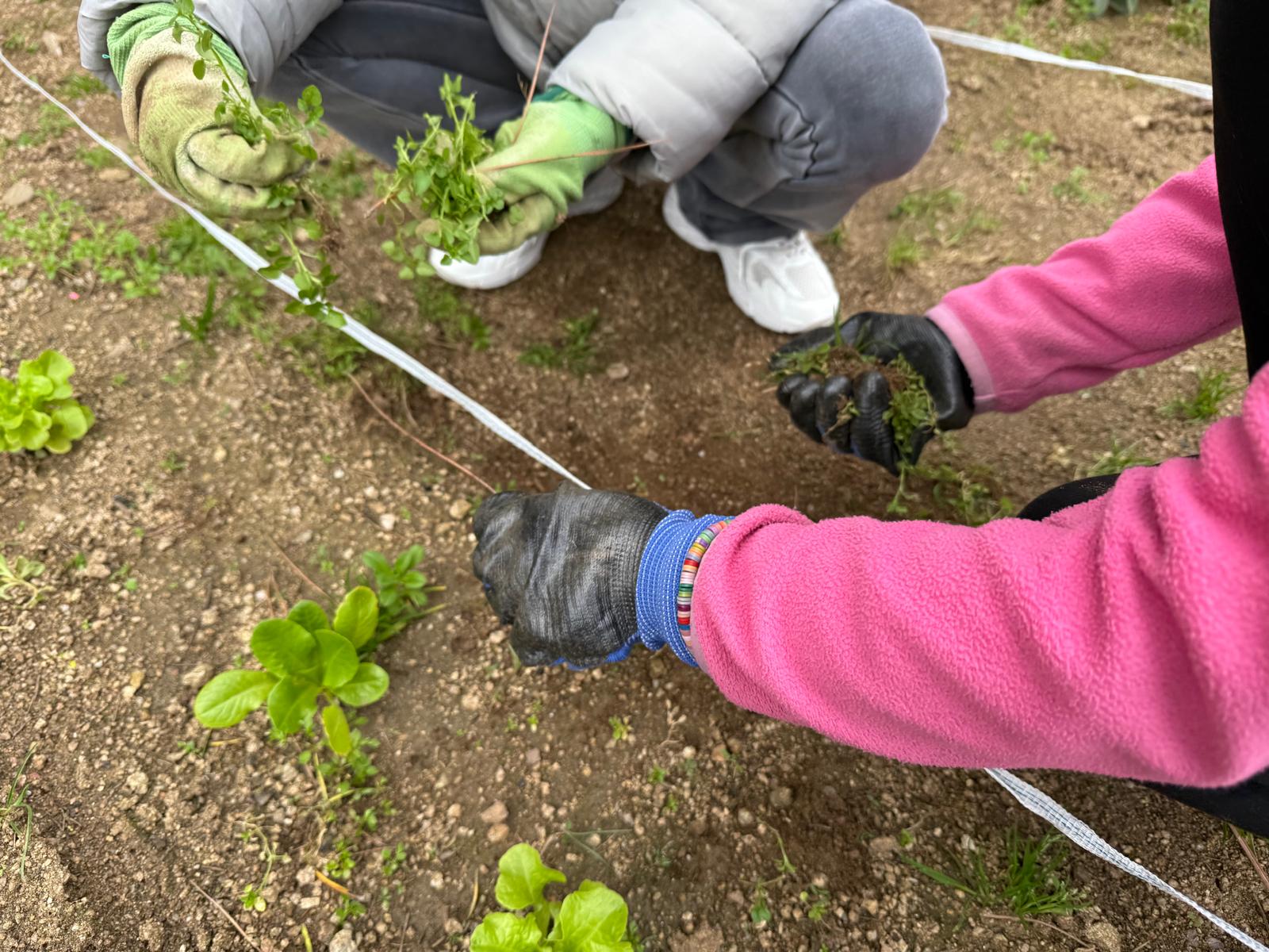 WhatsApp Image 2025-02-03 at 18.03.03 (3)