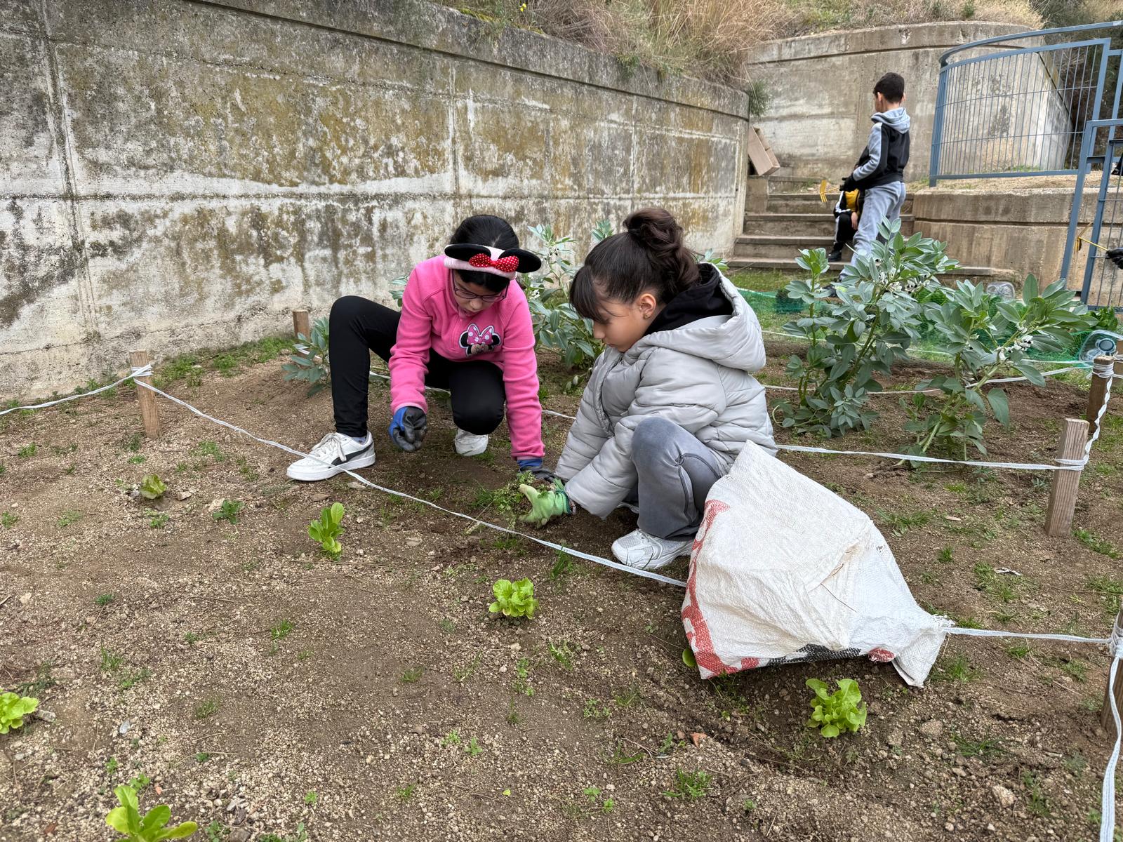 WhatsApp Image 2025-02-03 at 18.03.03 (4)