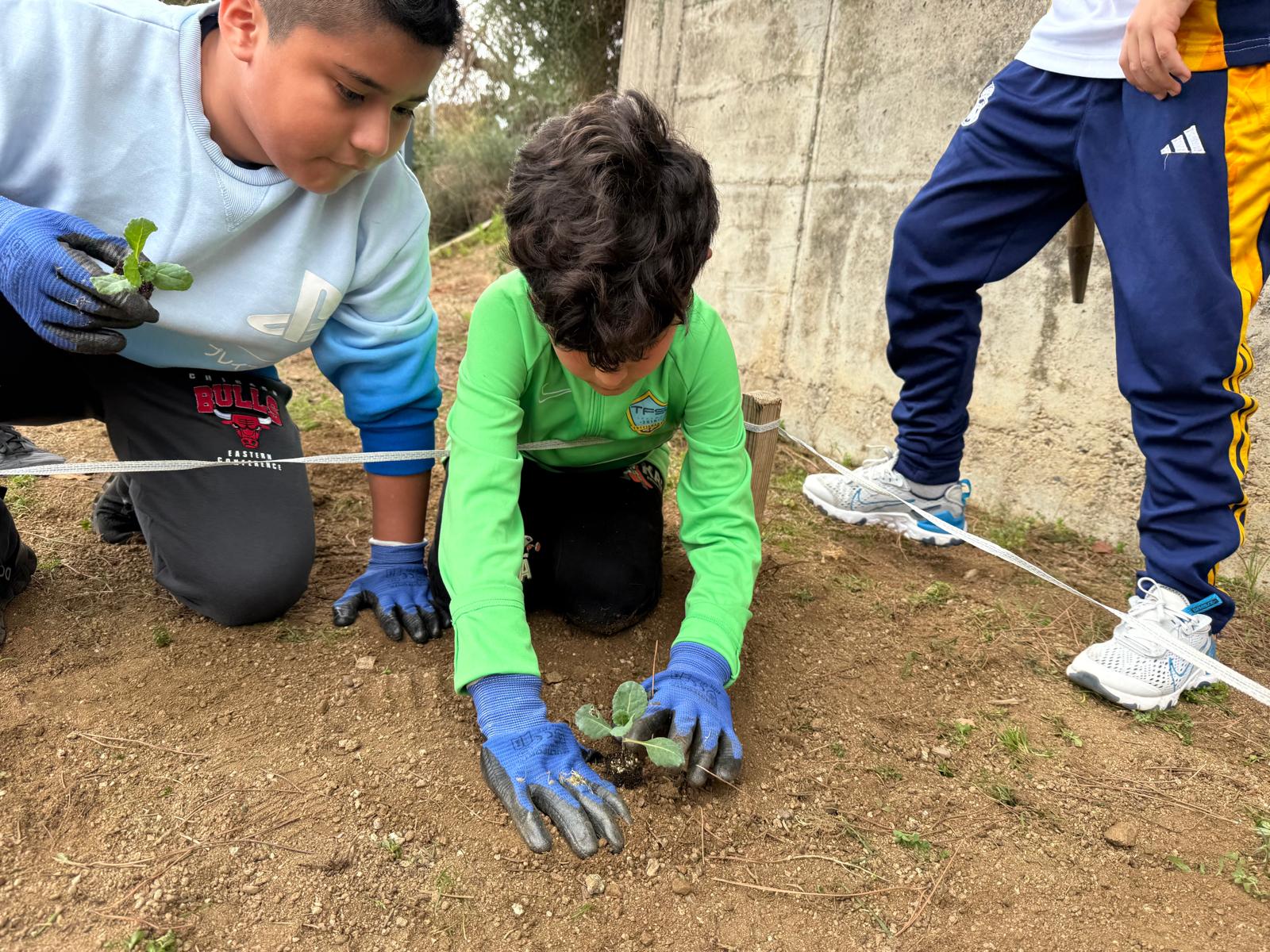 WhatsApp Image 2025-02-03 at 18.03.03 (5)