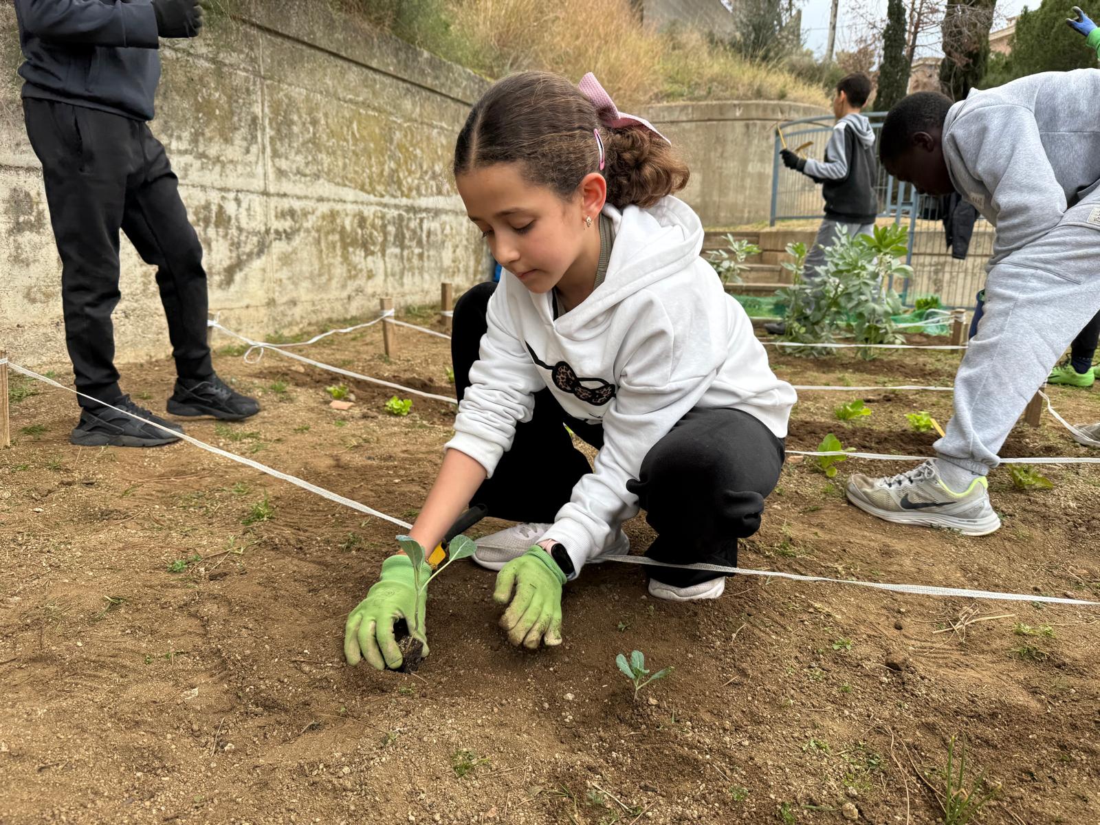 WhatsApp Image 2025-02-03 at 18.03.03 (6)