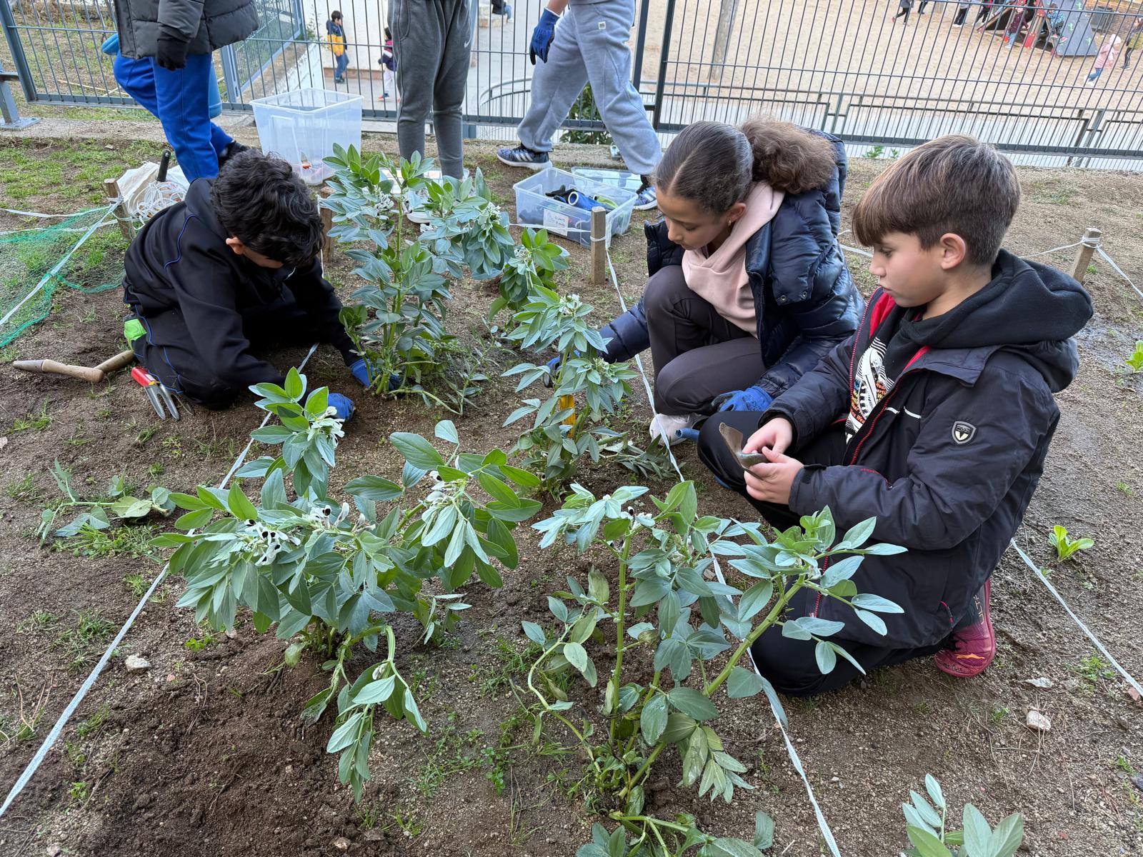 WhatsApp Image 2025-02-03 at 18.03.03