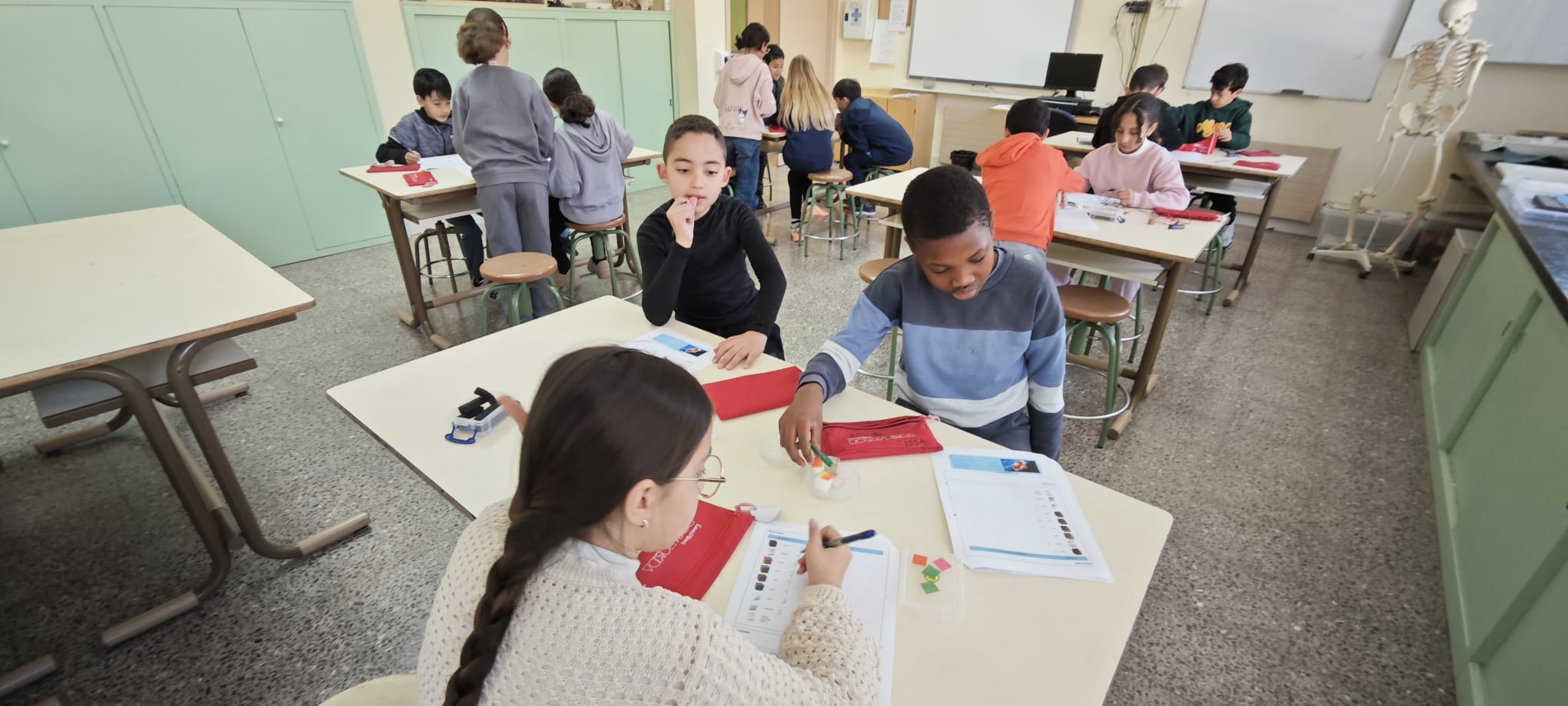 WhatsApp Image 2025-02-12 at 08.24.05 (3)