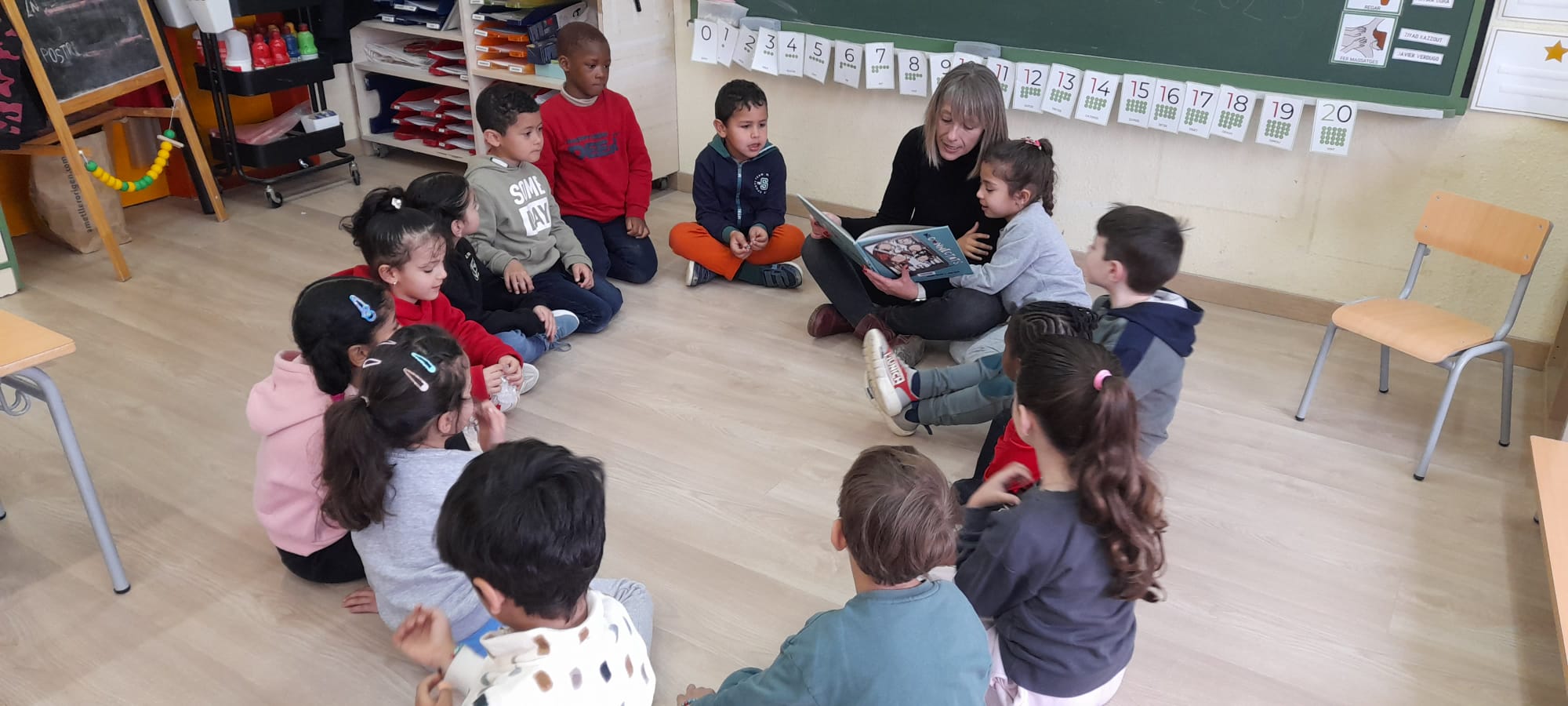 WhatsApp Image 2025-02-12 at 19.02.15