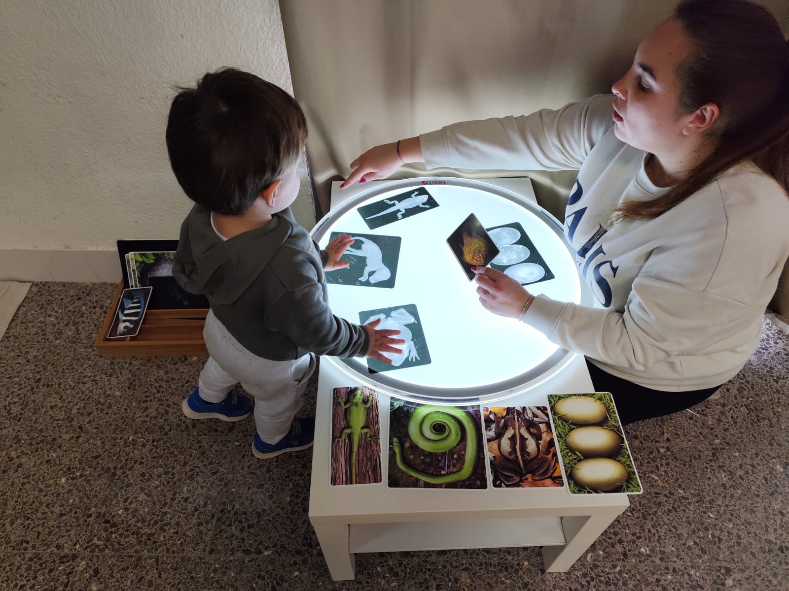 WhatsApp Image 2025-02-13 at 17.10.50 (3)