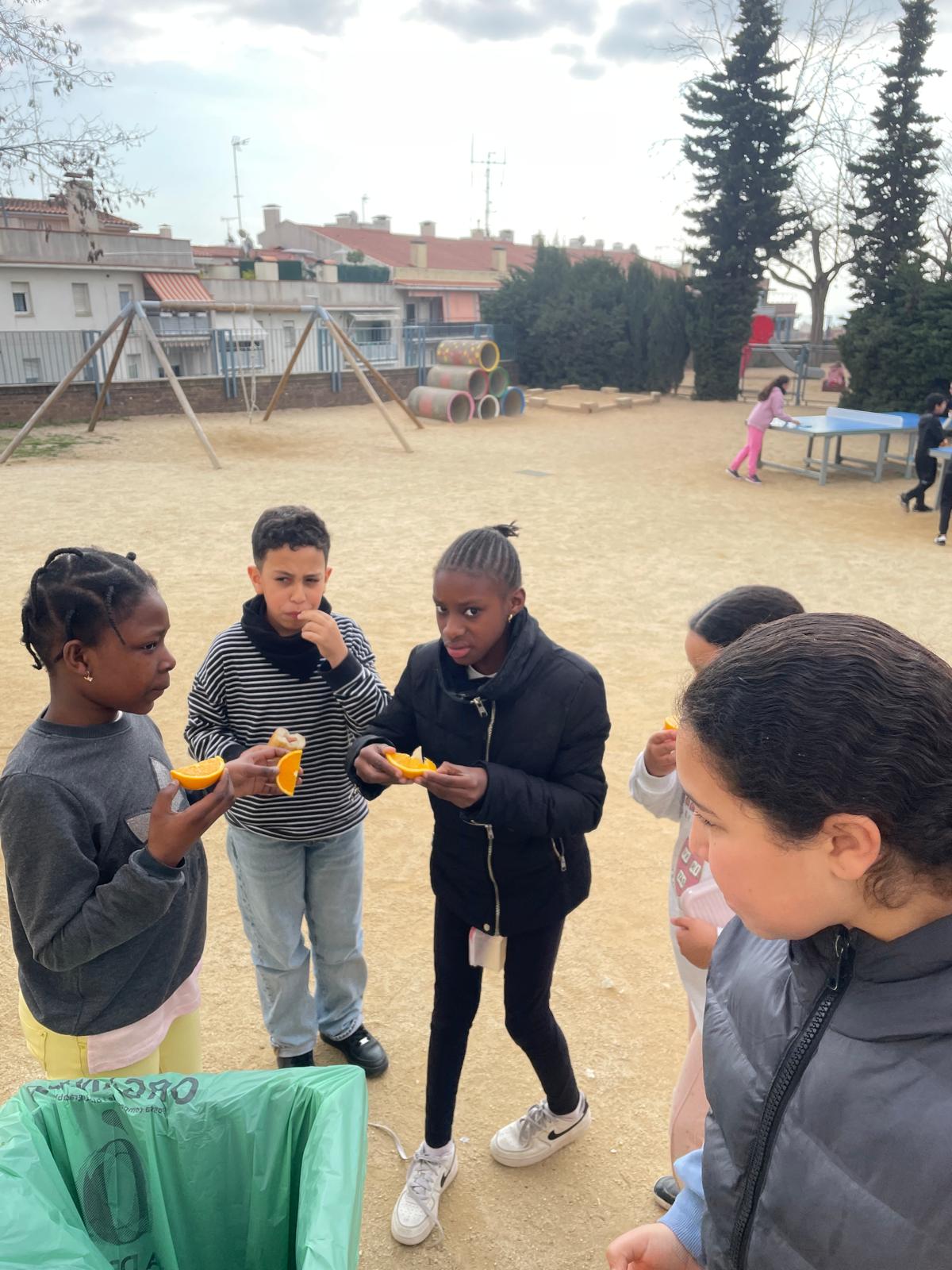 WhatsApp Image 2025-02-21 at 12.02.55 (1)