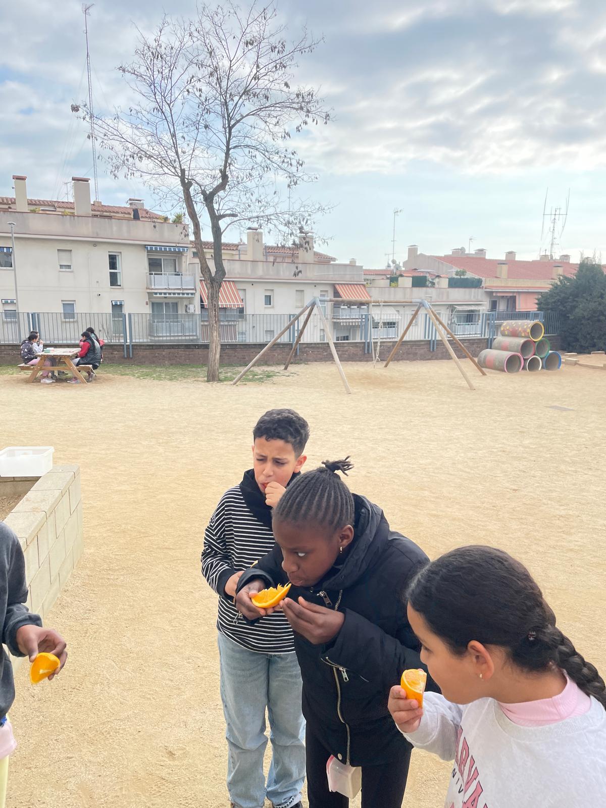 WhatsApp Image 2025-02-21 at 12.02.55 (2)