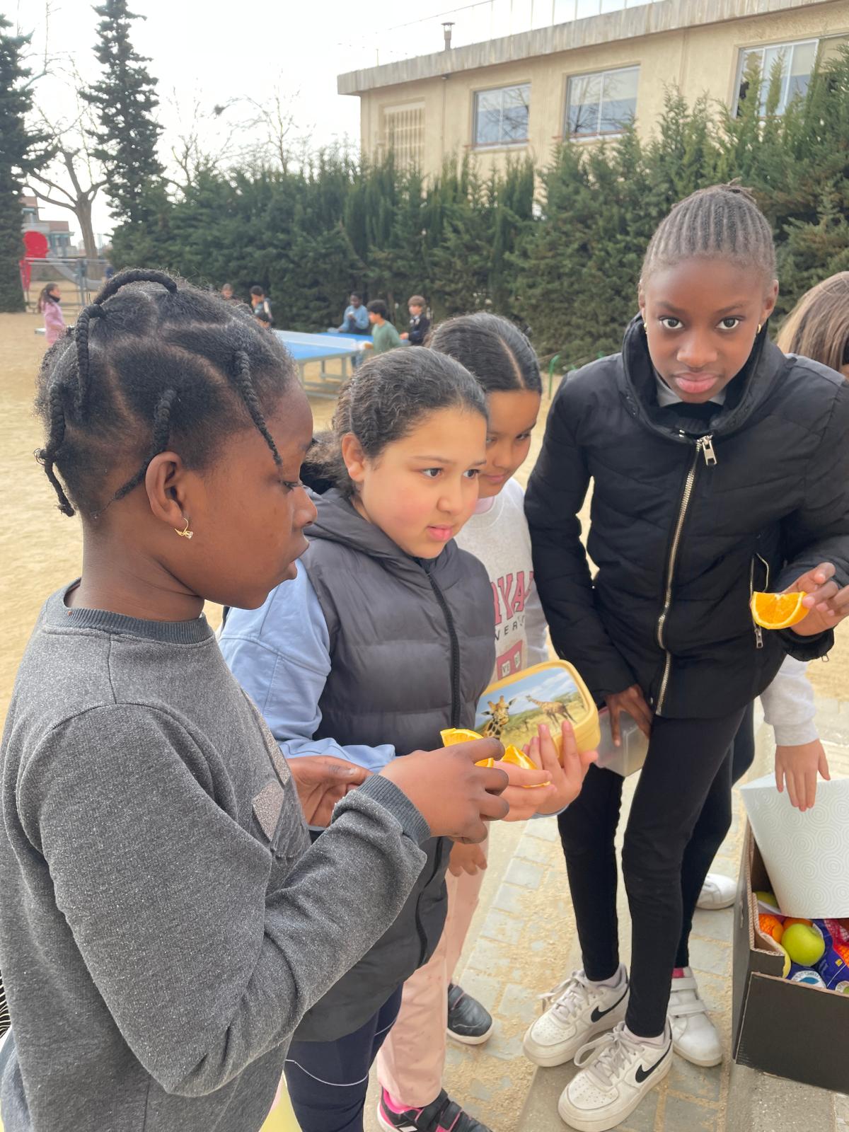 WhatsApp Image 2025-02-21 at 12.02.55