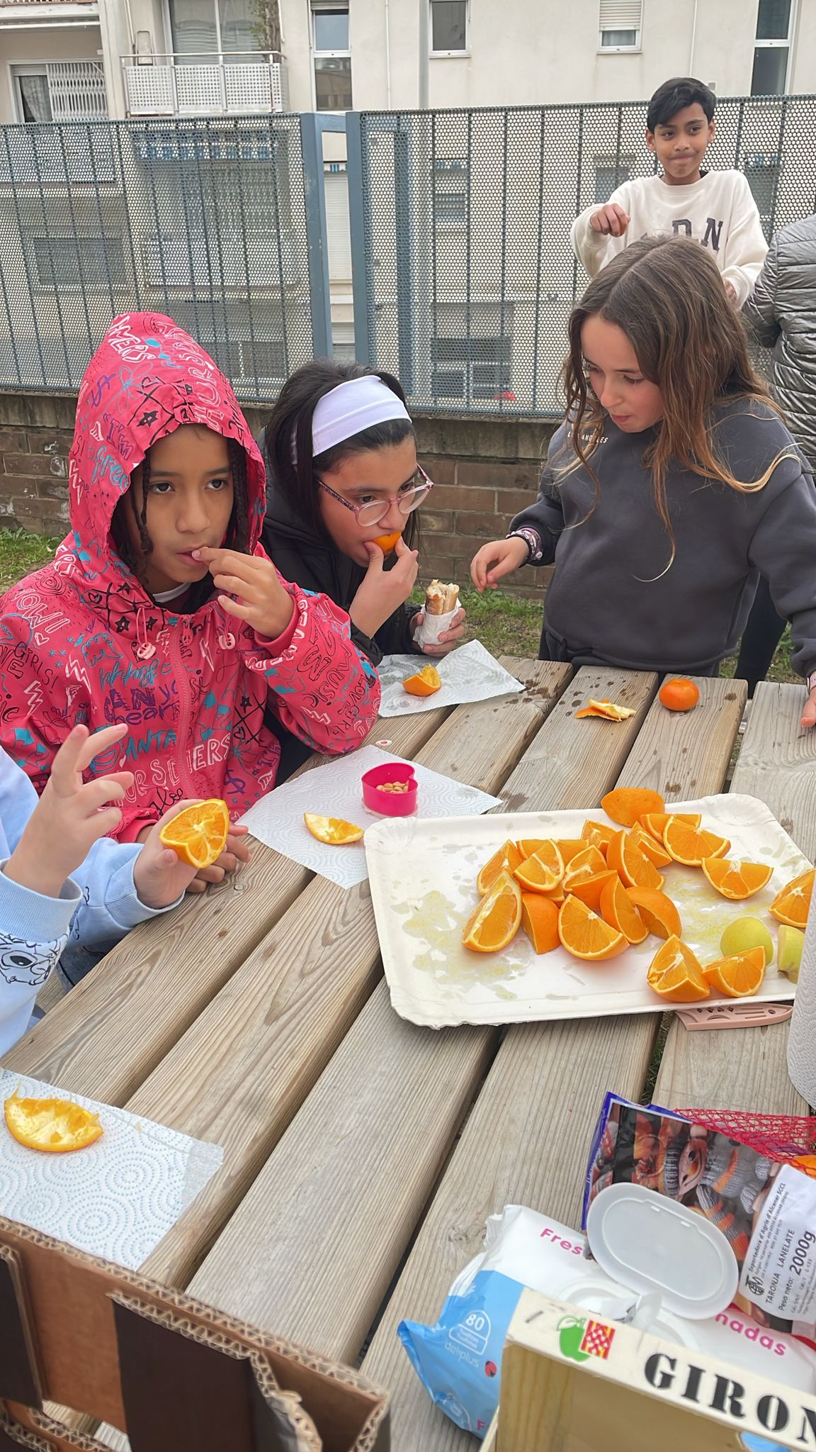 WhatsApp Image 2025-02-21 at 12.02.56 (1)