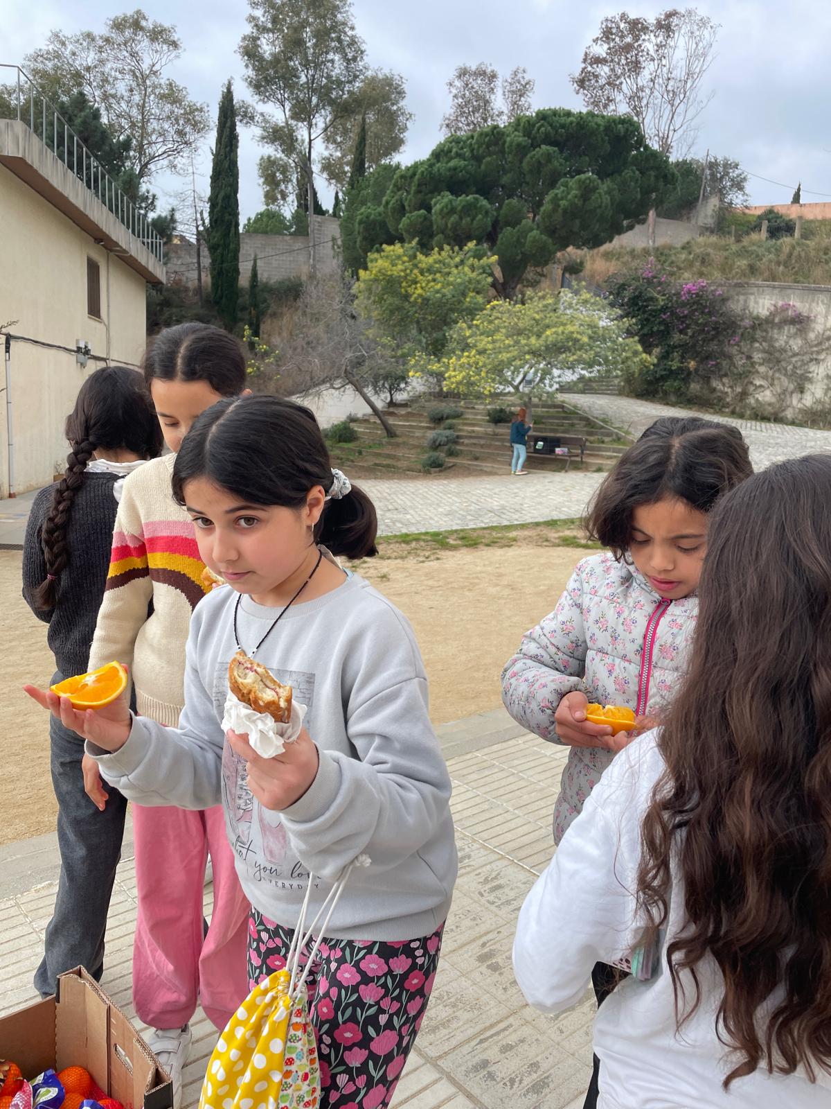 WhatsApp Image 2025-02-21 at 12.02.56