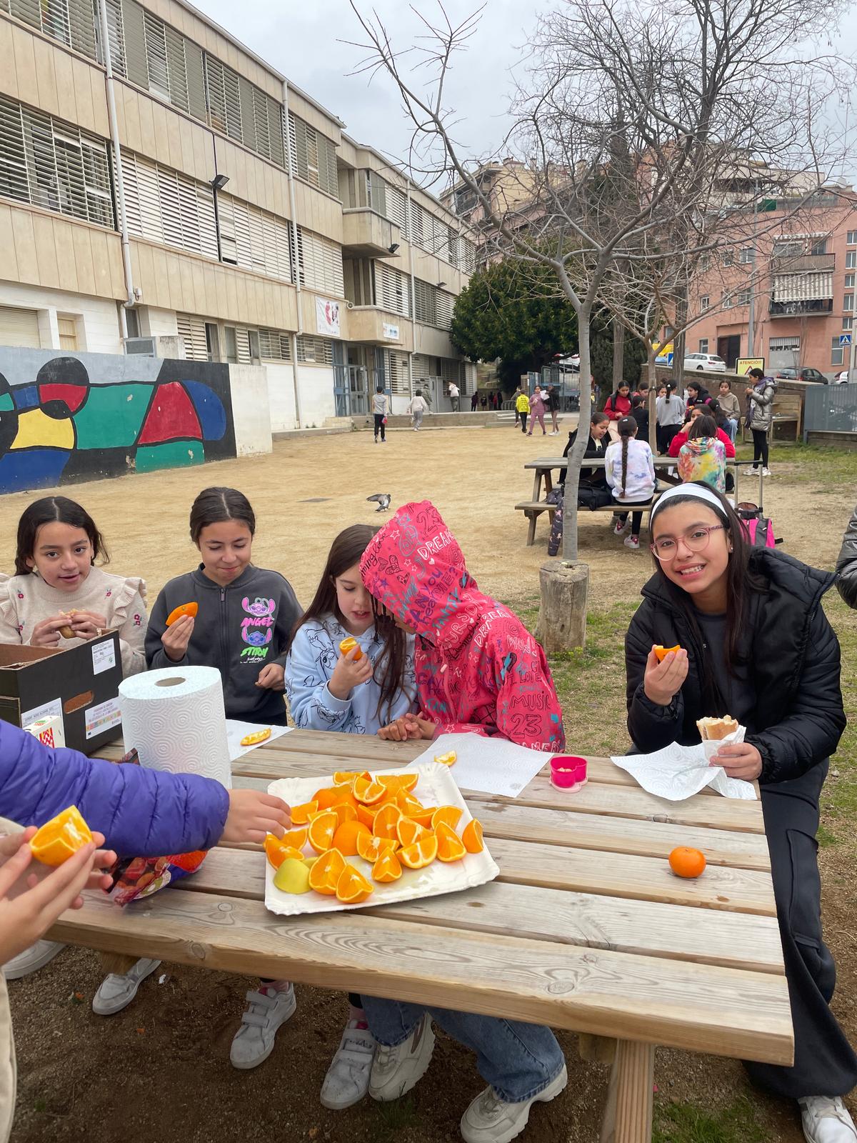 WhatsApp Image 2025-02-21 at 12.03.22 (3)